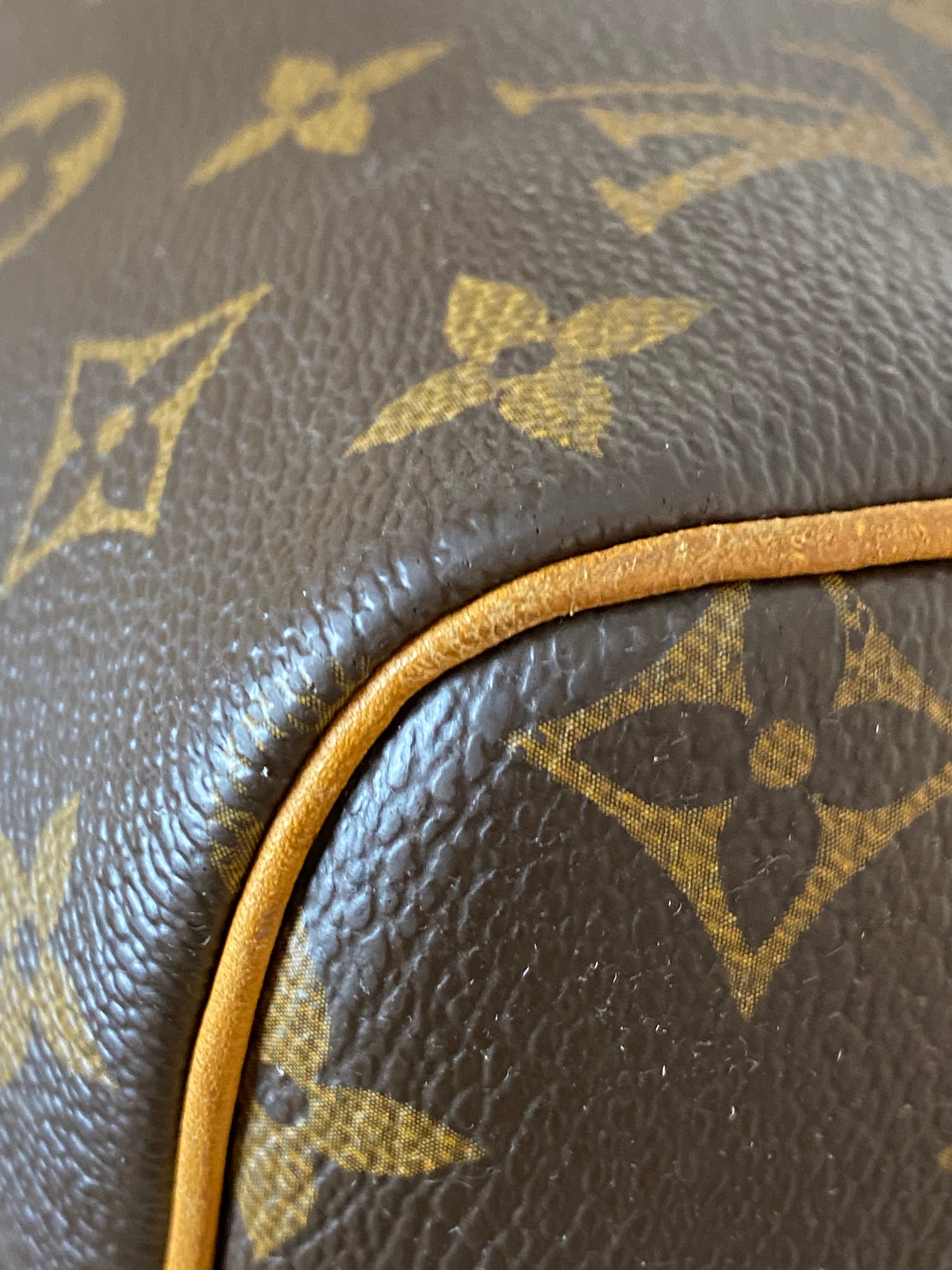 Louis Vuitton Monogram Speedy 30 Bag-handbag-Louis Vuitton-The Closet Egypt