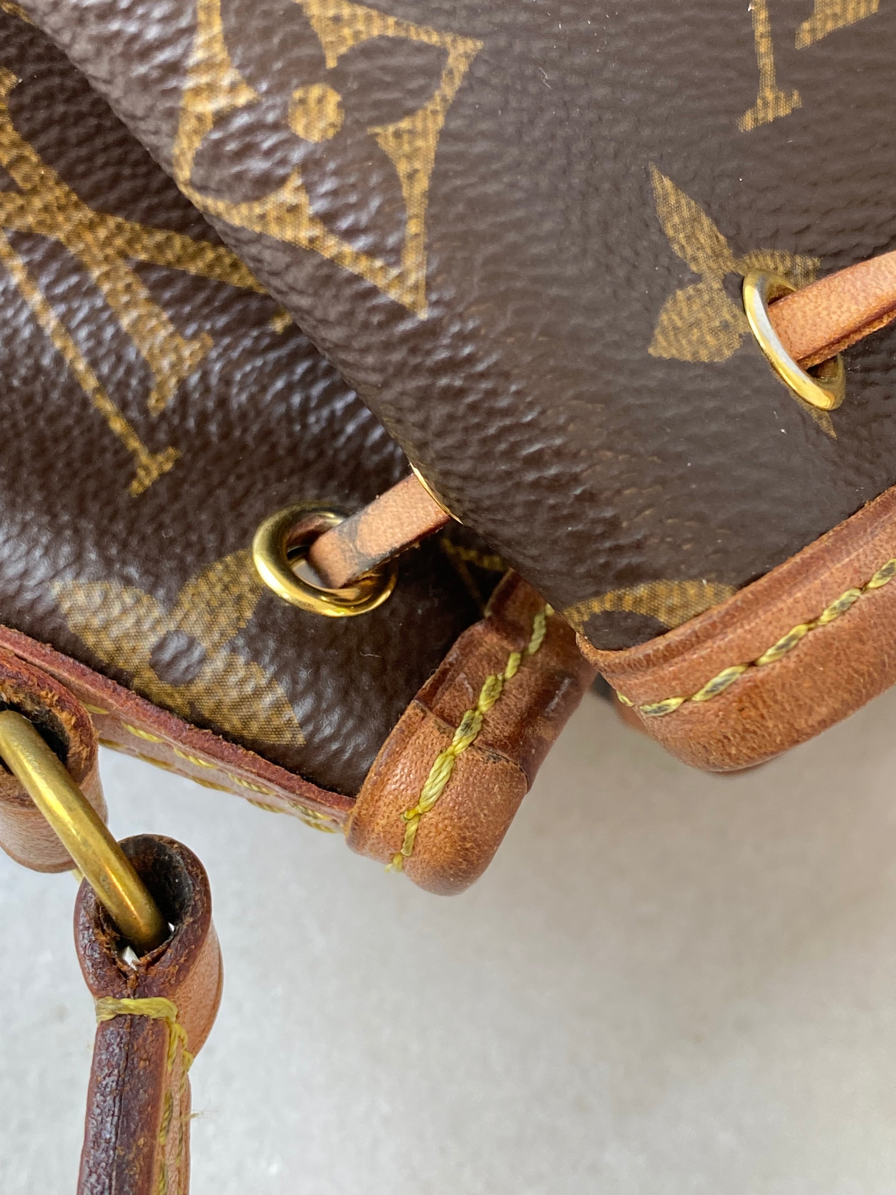 Louis Vuitton Monogram neo Nano Bag
