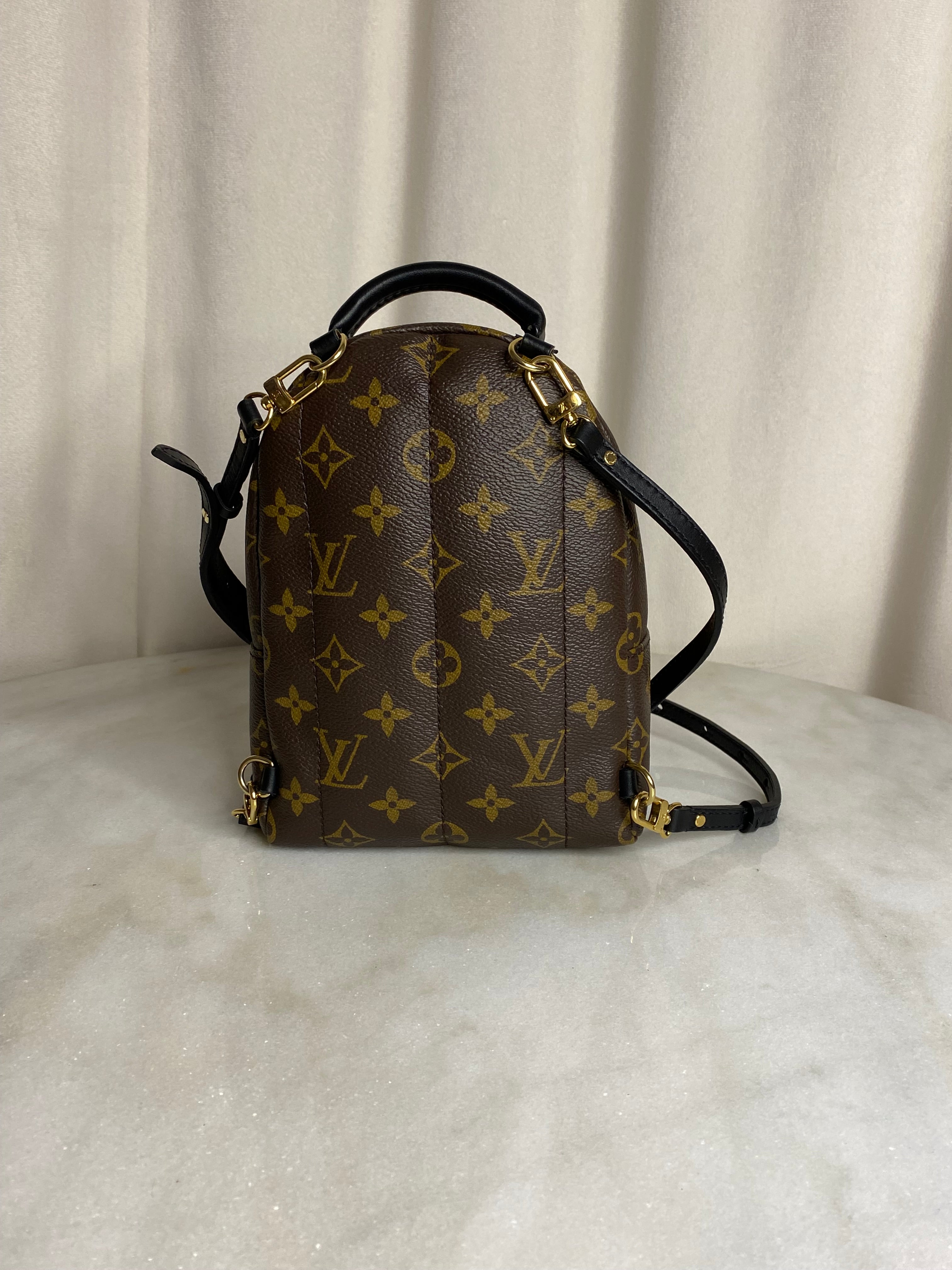 Louis Vuitton Monogram Palm Spring Mini Backpack Bag-Backpack-Louis Vuitton-The Closet Egypt