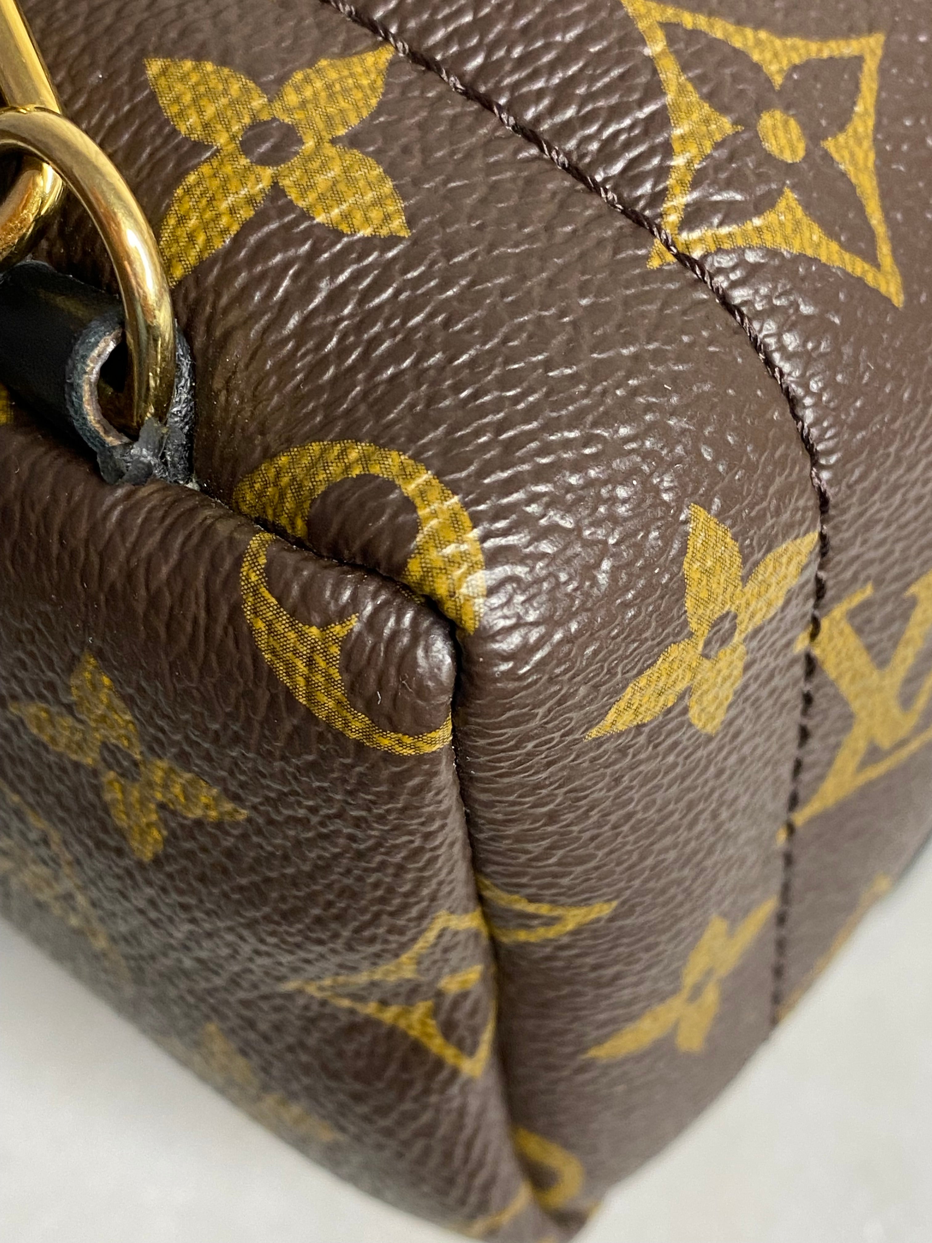 Louis Vuitton Monogram Palm Spring Mini Backpack Bag-Backpack-Louis Vuitton-The Closet Egypt