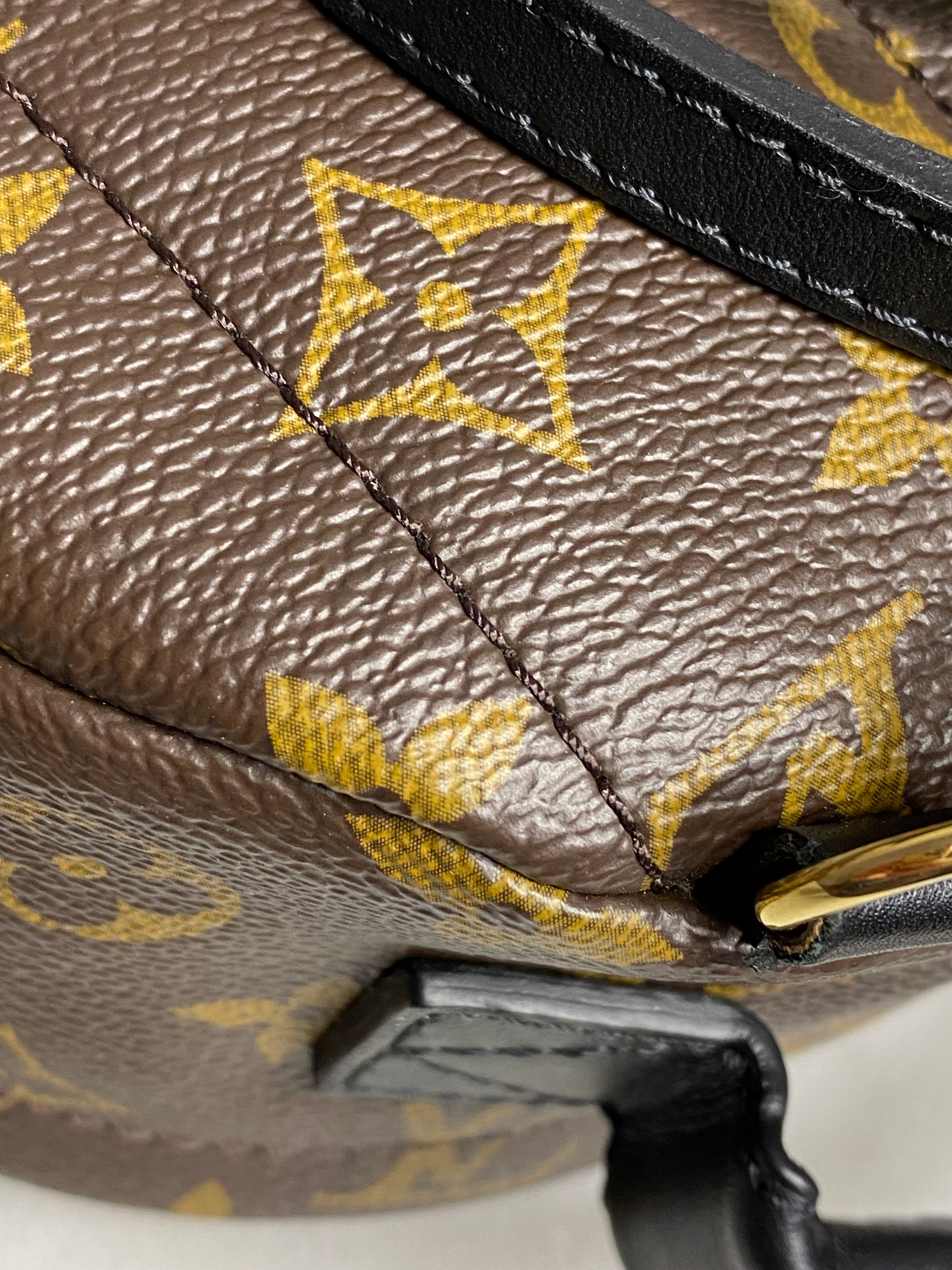 Louis Vuitton Monogram Palm Spring Mini Backpack Bag-Backpack-Louis Vuitton-The Closet Egypt