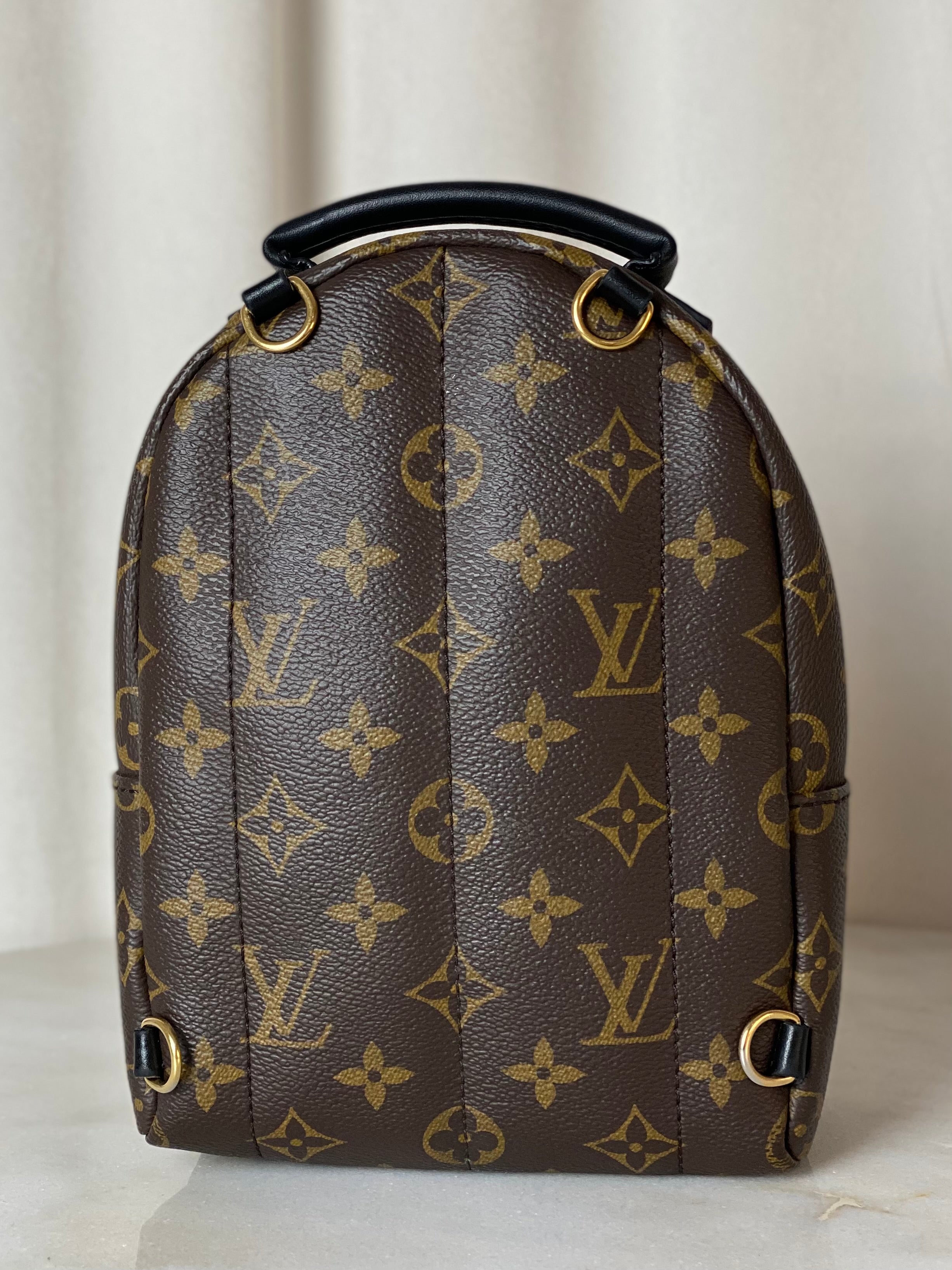 Louis Vuitton Monogram Palm Spring Mini Backpack Bag-Backpack-Louis Vuitton-The Closet Egypt