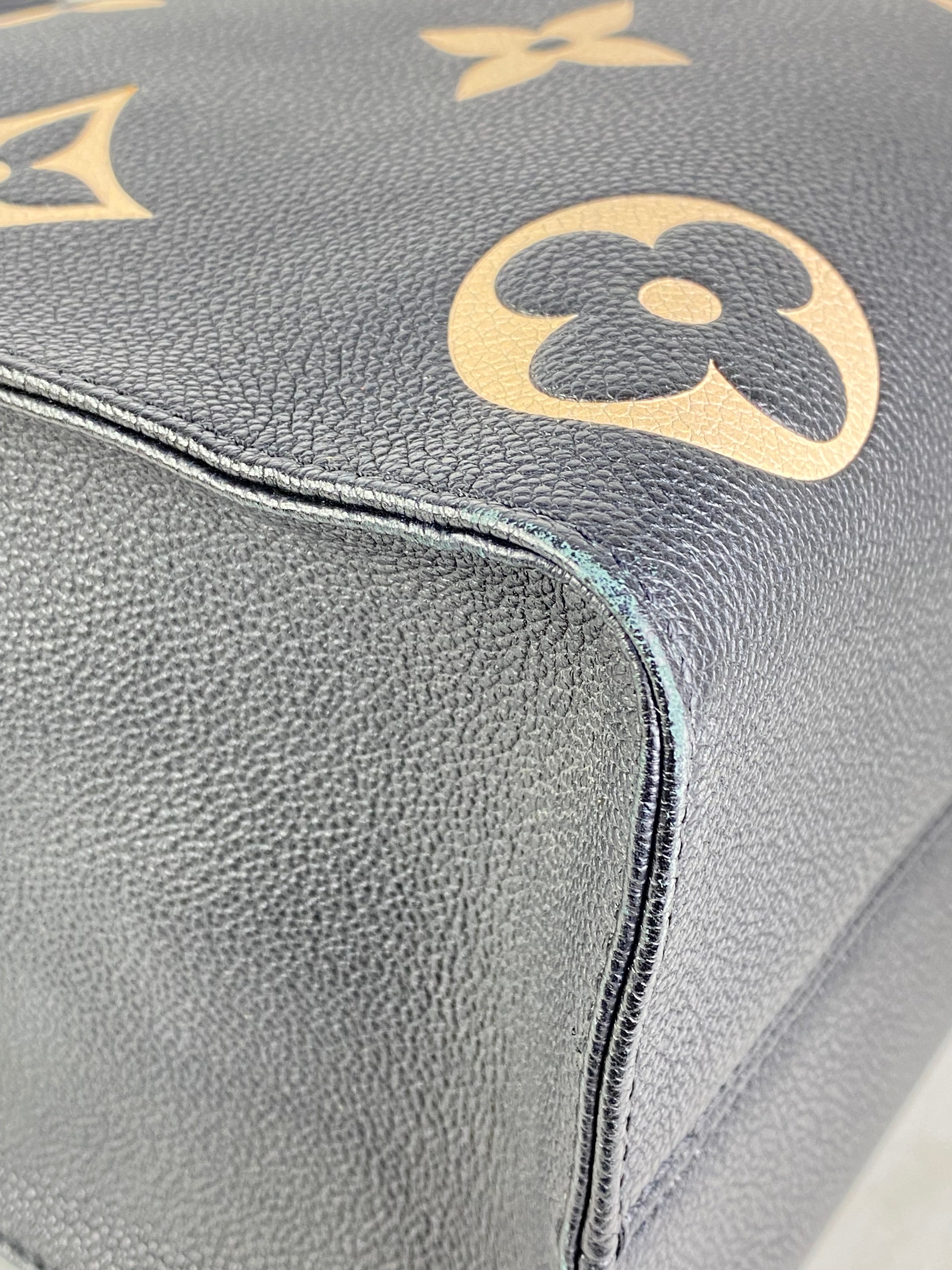 Louis Vuitton Bicolor Monogram Empreinte Onthego Bag