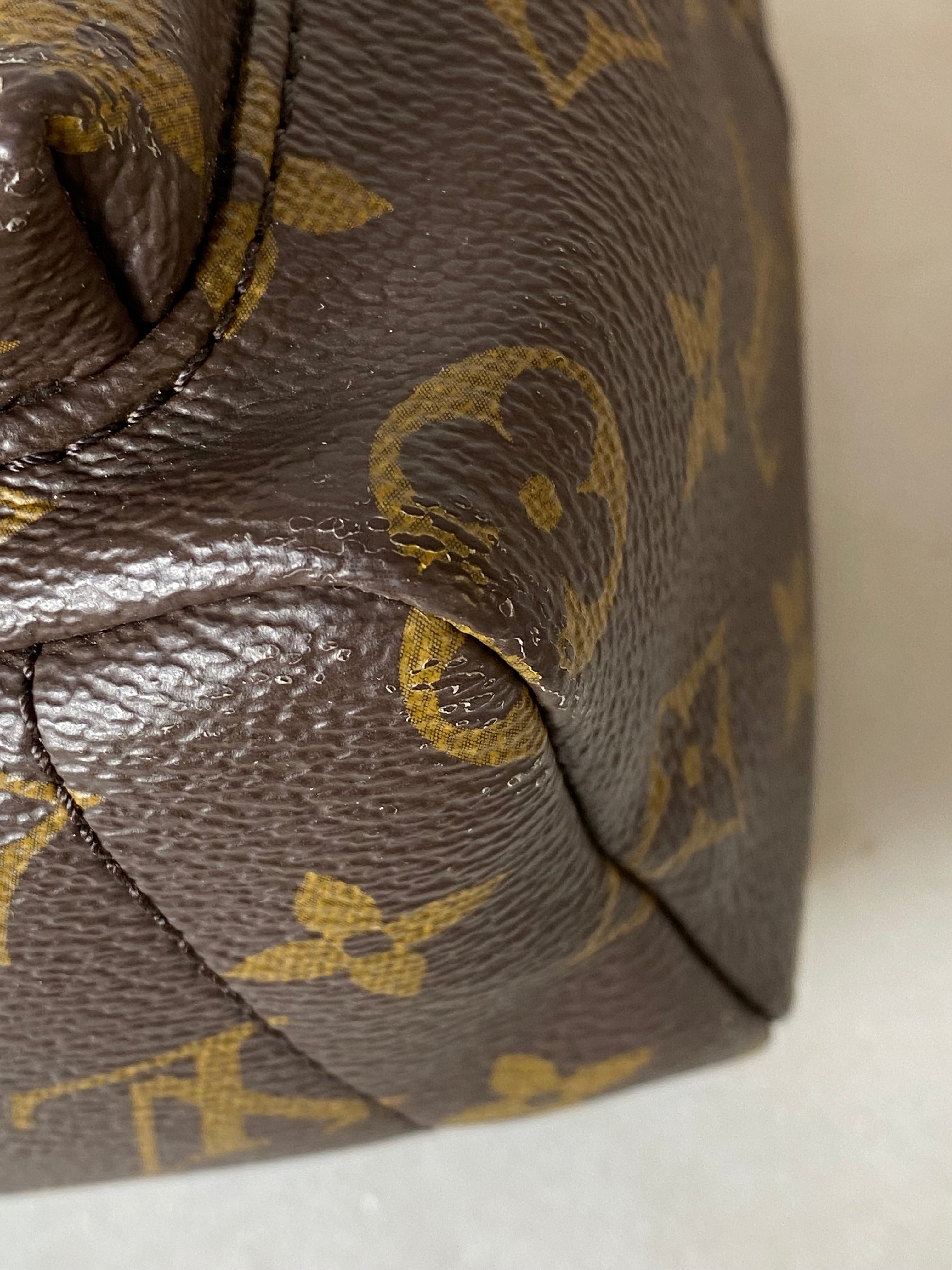 Louis Vuitton Monogram Palm Spring Mini Backpack Bag-Backpack-Louis Vuitton-The Closet Egypt