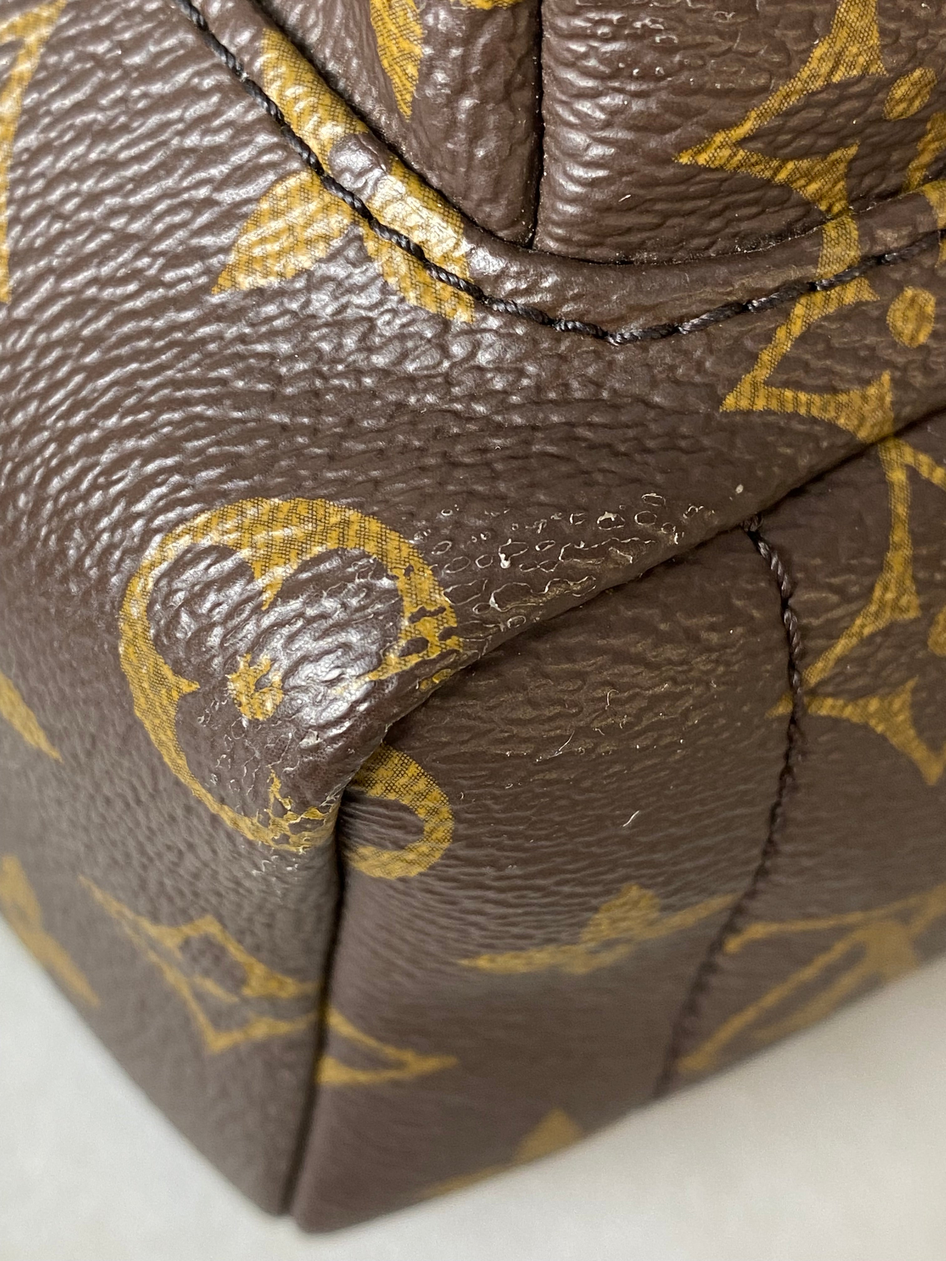 Louis Vuitton Monogram Palm Spring Mini Backpack Bag-Backpack-Louis Vuitton-The Closet Egypt