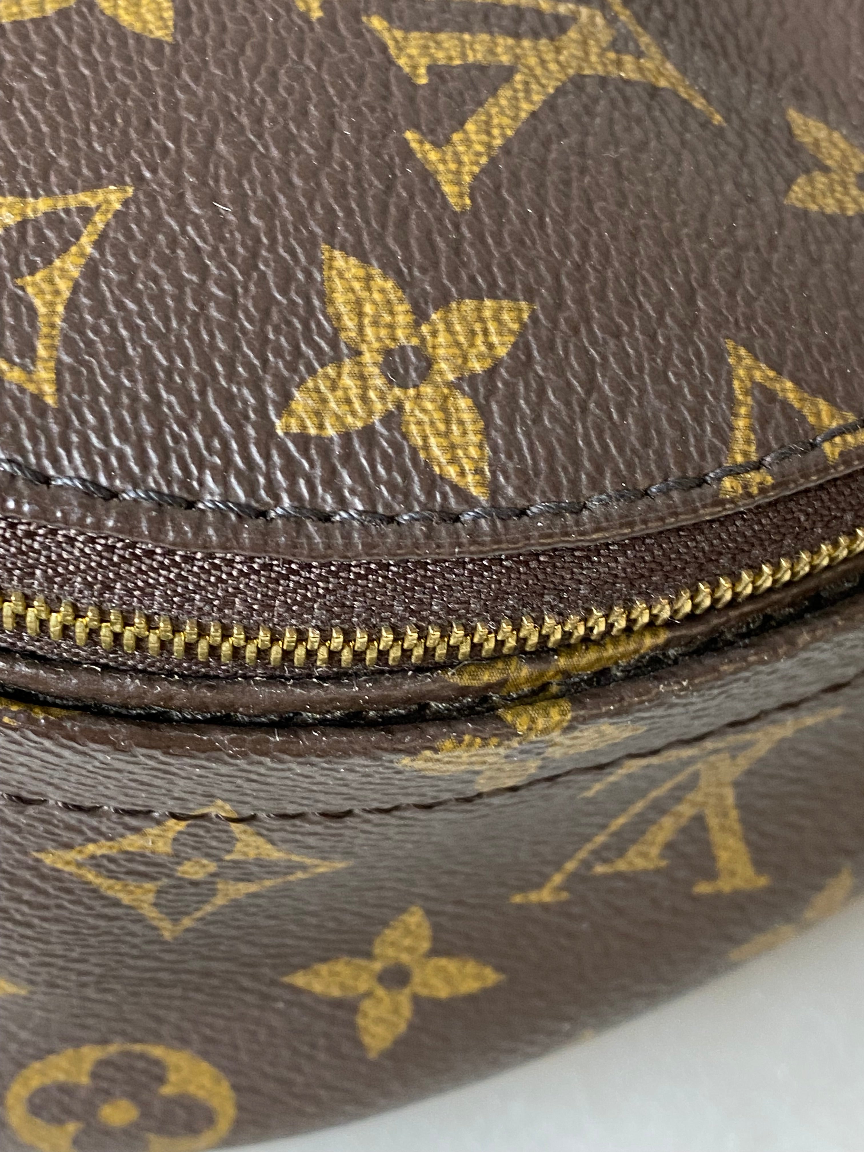 Louis Vuitton Monogram Palm Spring Mini Backpack Bag-Backpack-Louis Vuitton-The Closet Egypt