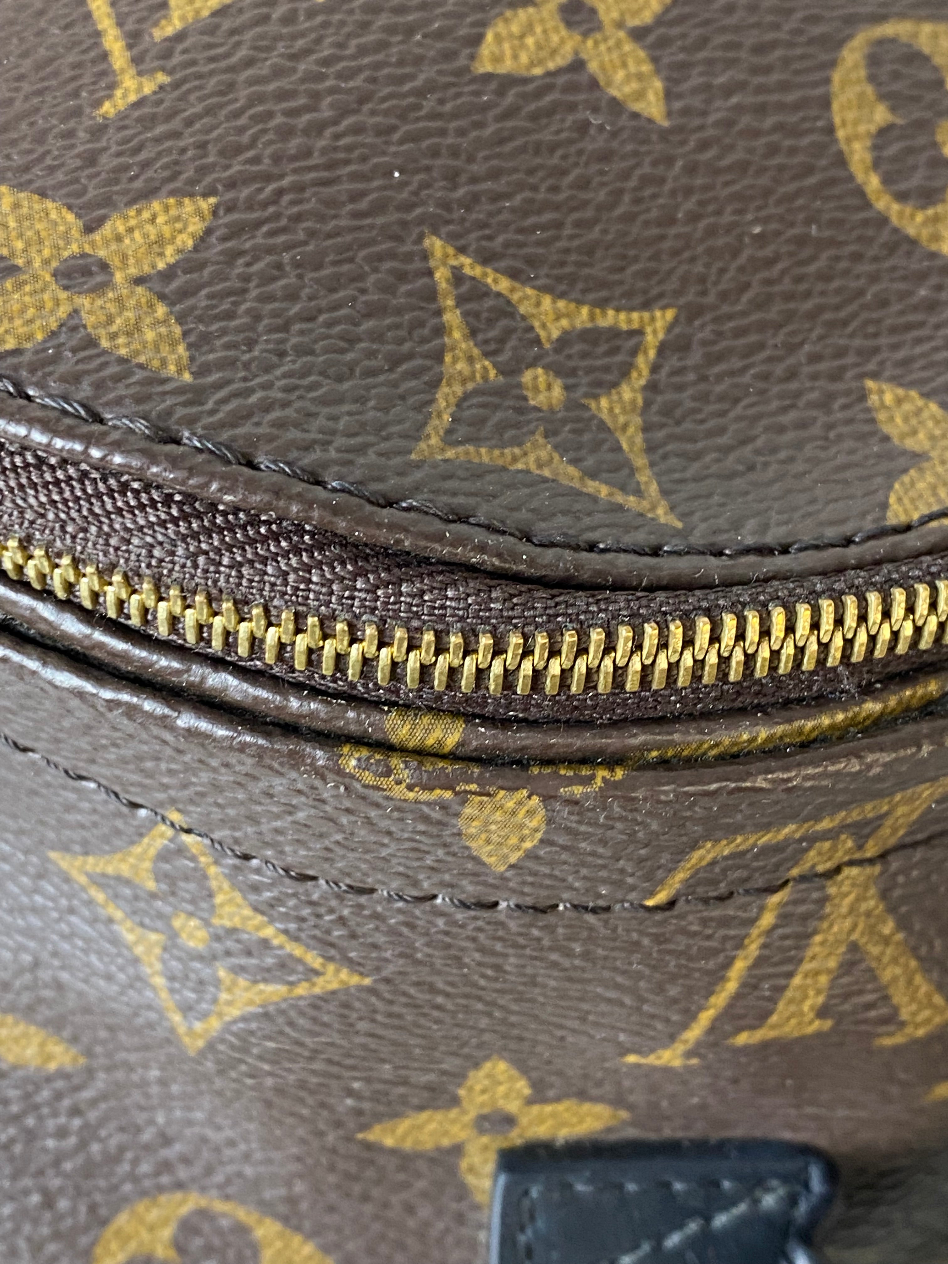 Louis Vuitton Monogram Palm Spring Mini Backpack Bag-Backpack-Louis Vuitton-The Closet Egypt