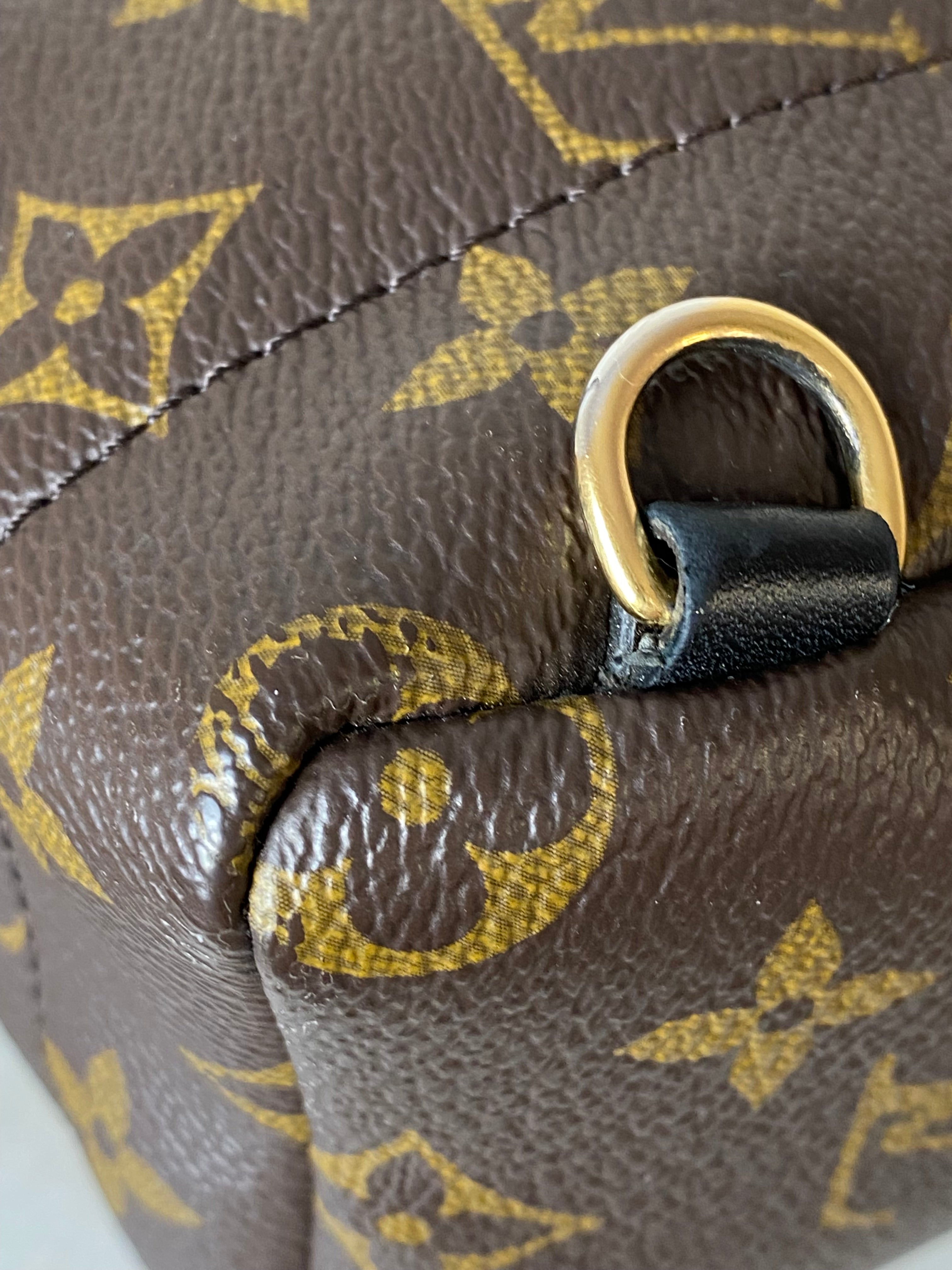 Louis Vuitton Monogram Palm Spring Mini Backpack Bag-Backpack-Louis Vuitton-The Closet Egypt