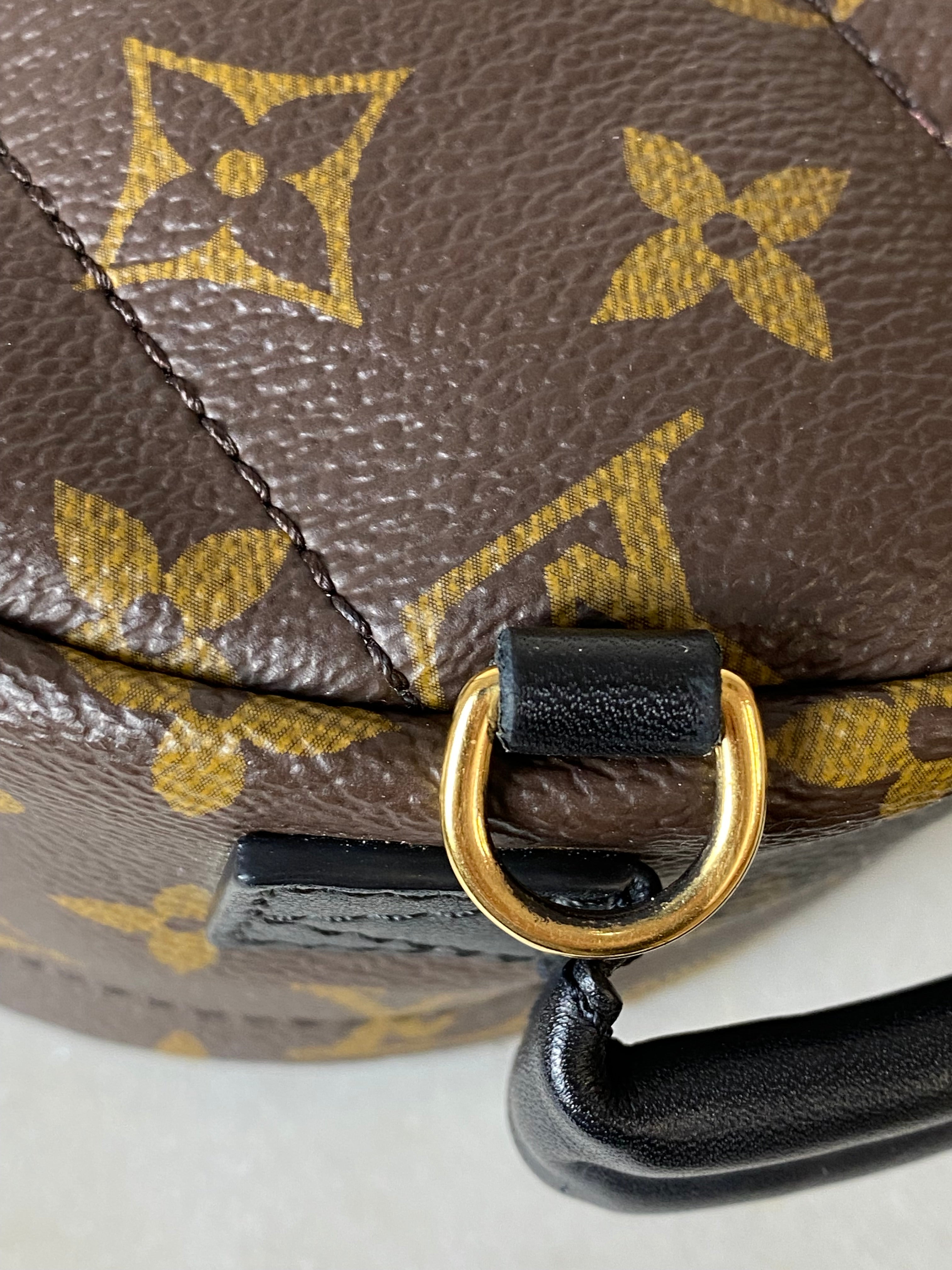 Louis Vuitton Monogram Palm Spring Mini Backpack Bag-Backpack-Louis Vuitton-The Closet Egypt