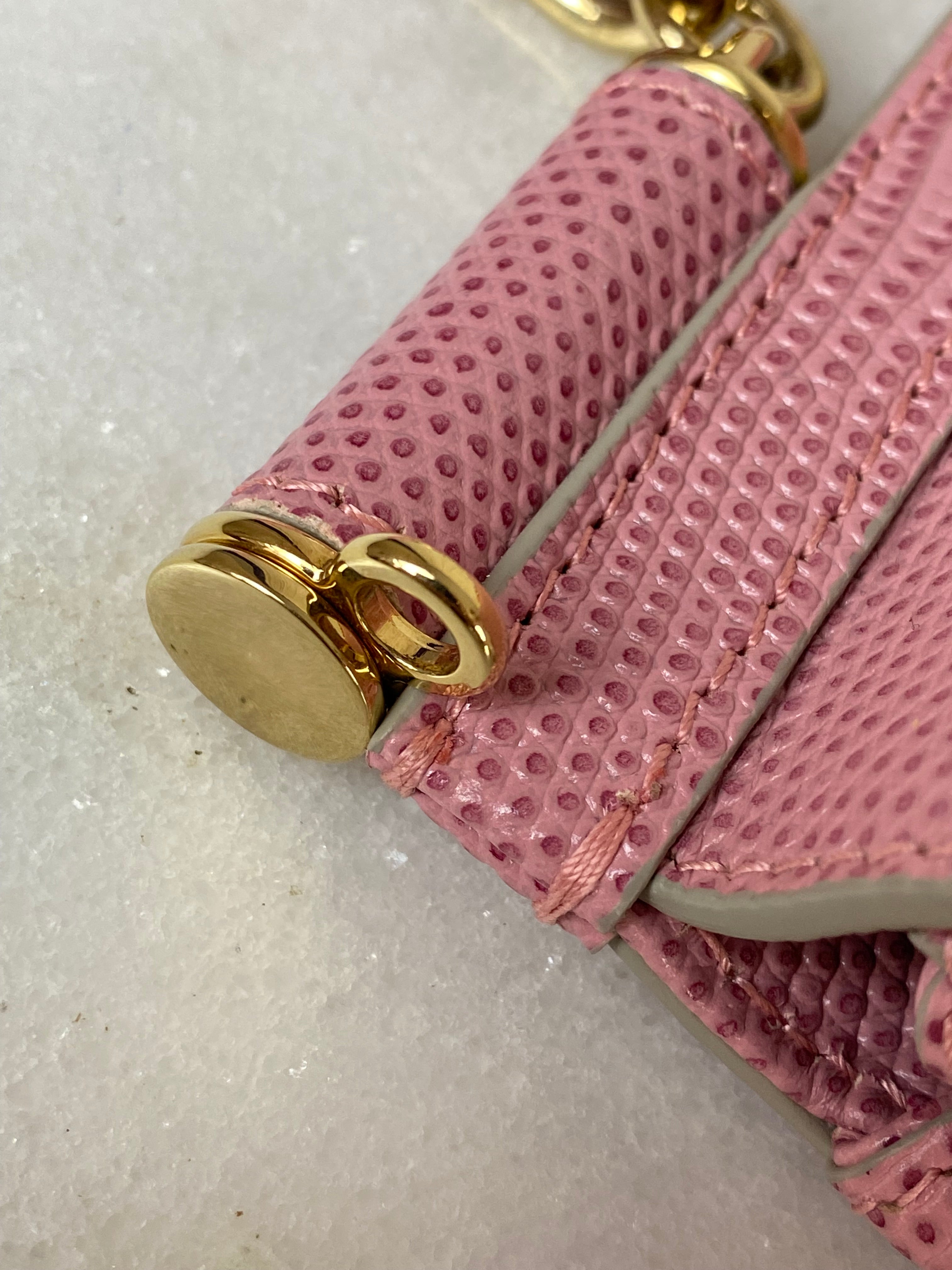 Dolce & Gabbana Pink Iguana Print Crystal Sicily Small Bag