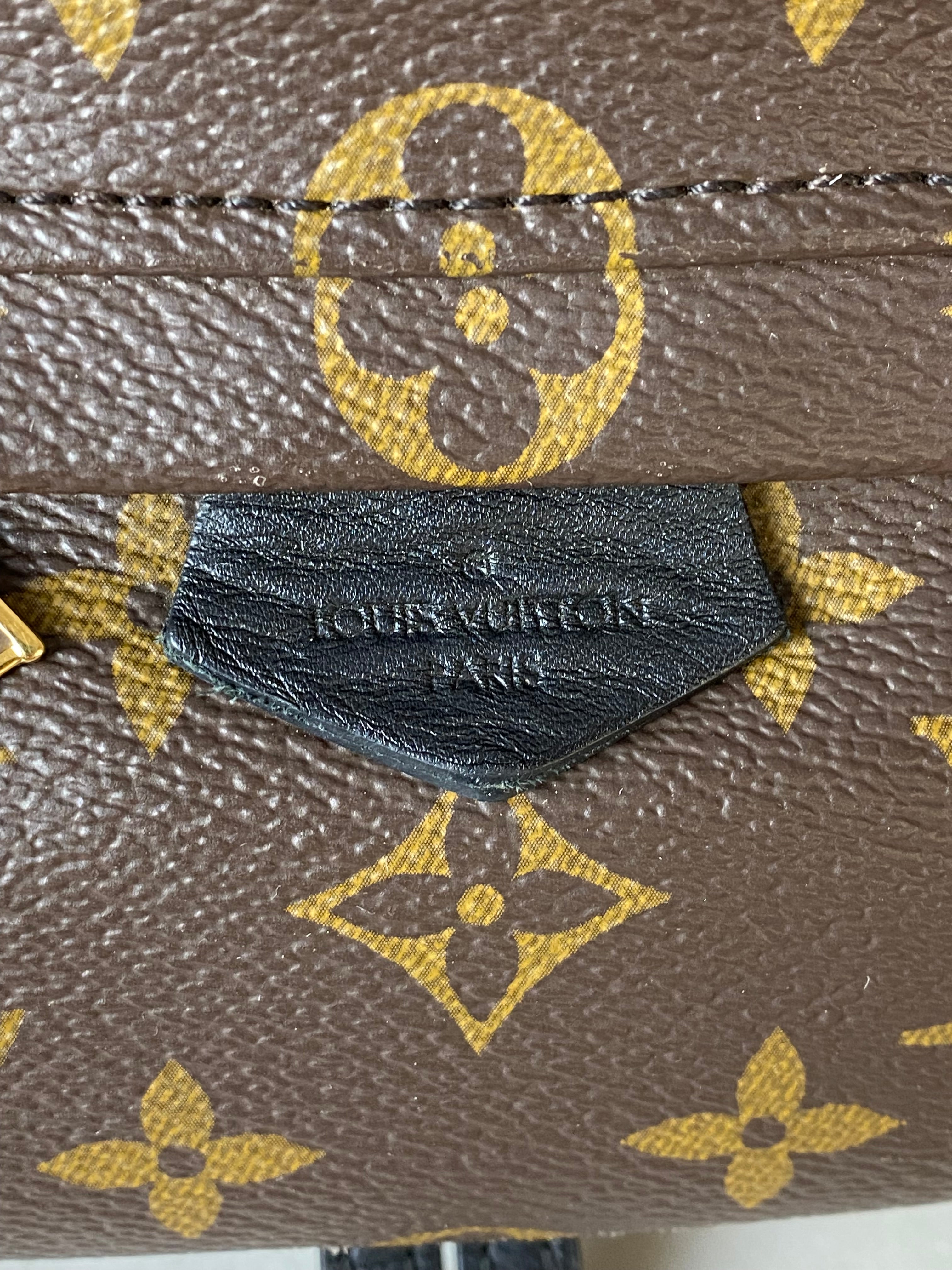 Louis Vuitton Monogram Palm Spring Mini Backpack Bag-Backpack-Louis Vuitton-The Closet Egypt