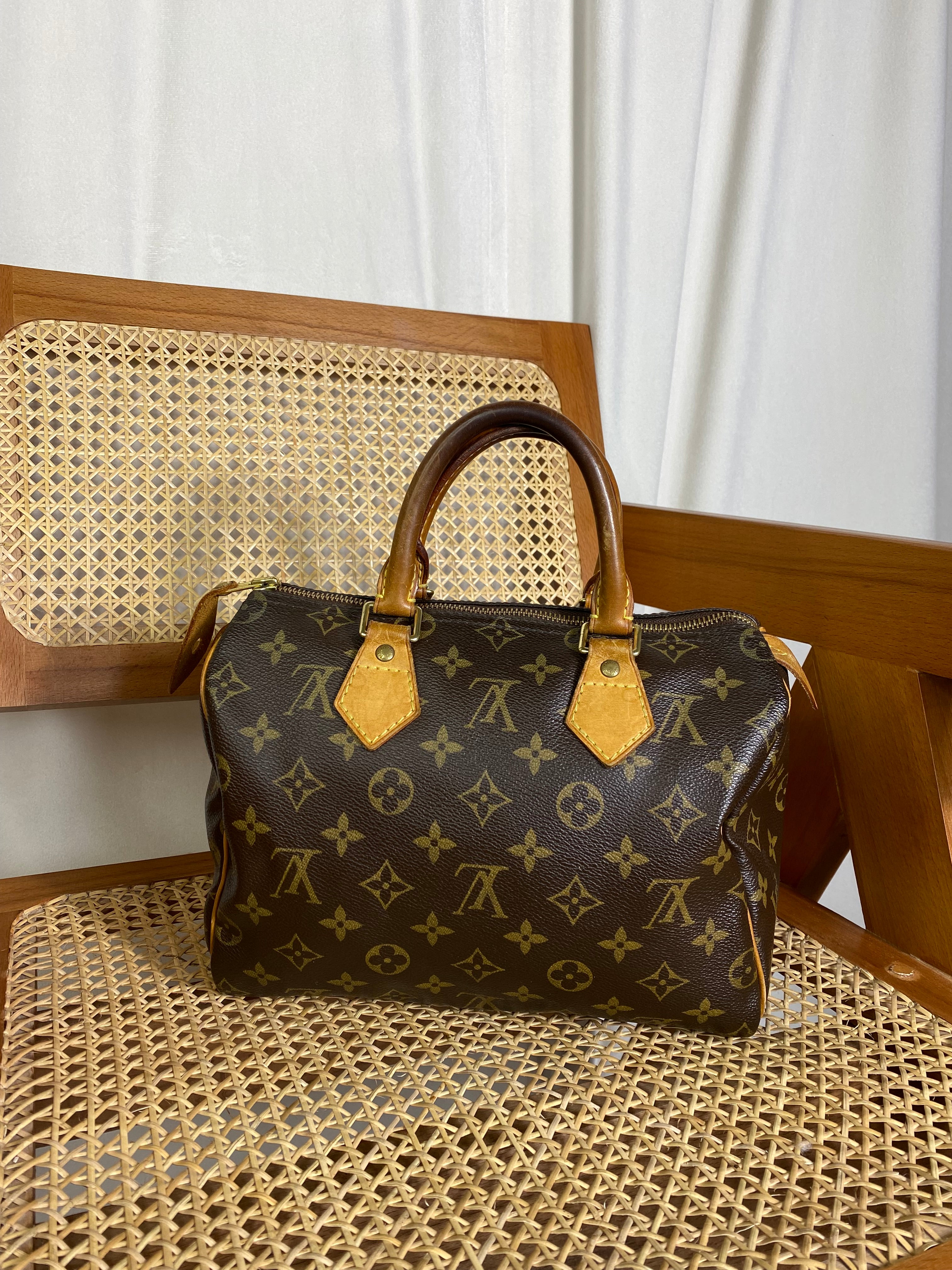 Louis Vuitton Monogram Speedy 25 Tote Bag-handbag-Louis Vuitton-The Closet Egypt