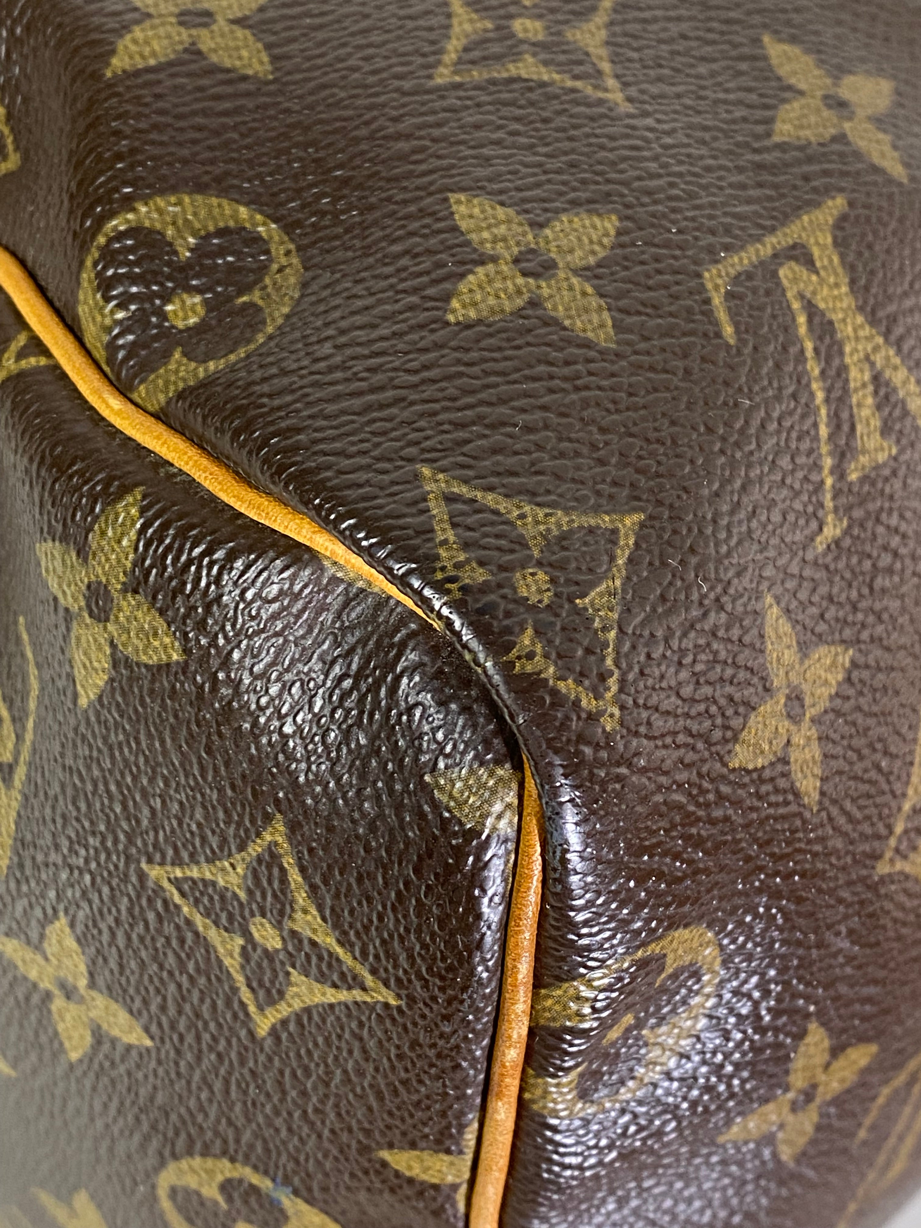 Louis Vuitton Monogram Speedy 25 Tote Bag-handbag-Louis Vuitton-The Closet Egypt