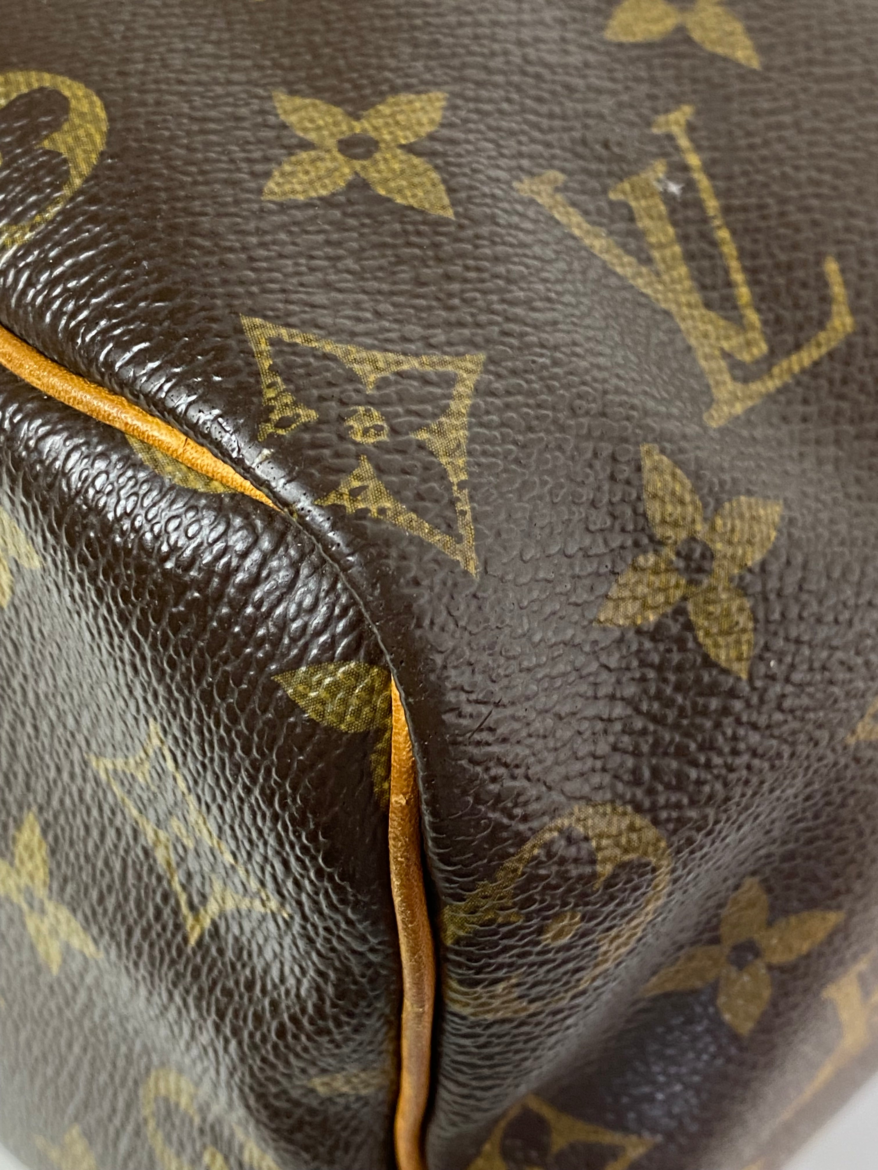 Louis Vuitton Monogram Speedy 25 Tote Bag-handbag-Louis Vuitton-The Closet Egypt