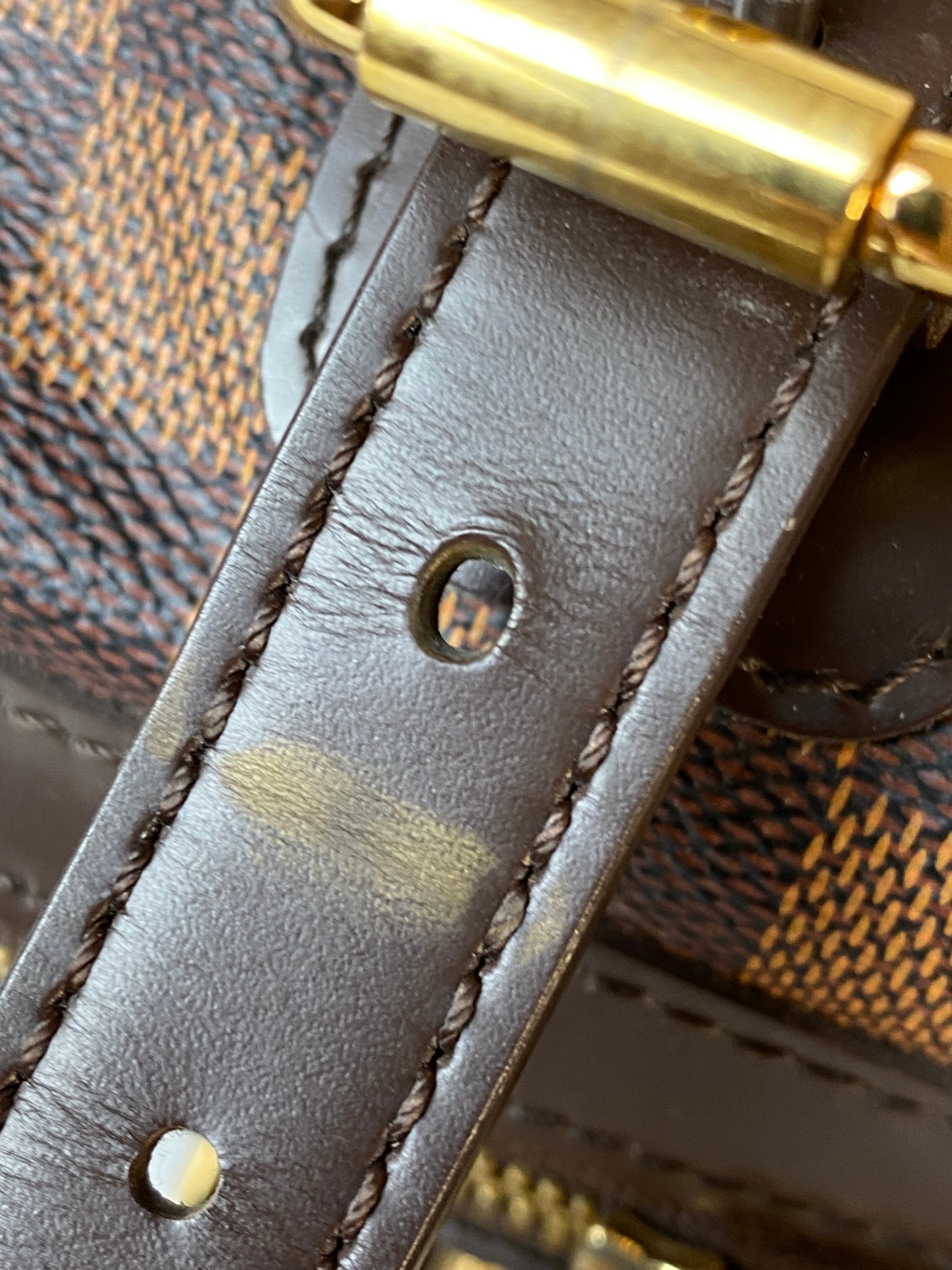 Louis Vuitton Damier Ebene Berkeley Tote Bag