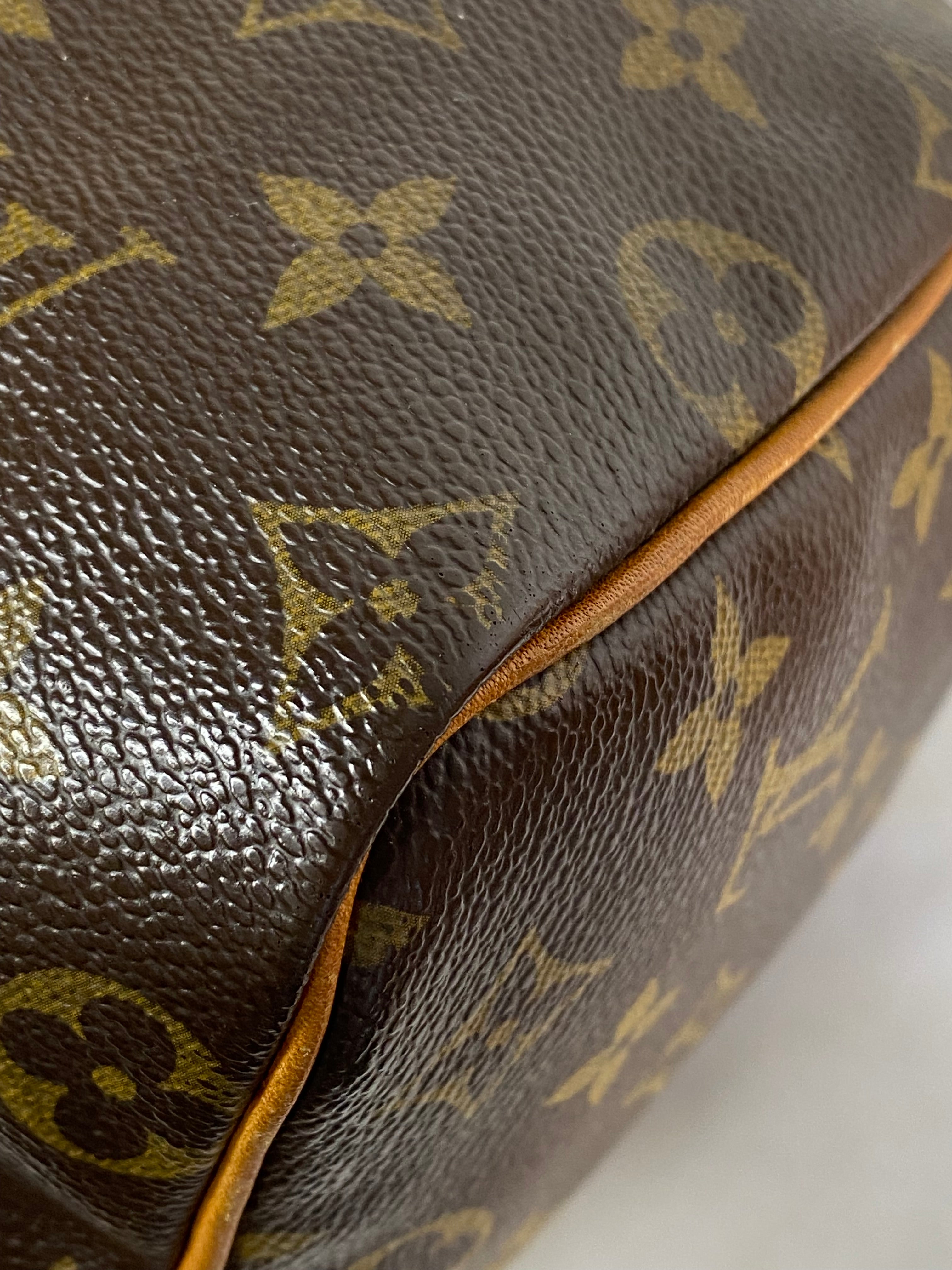 Louis Vuitton Monogram Speedy 25 Tote Bag-handbag-Louis Vuitton-The Closet Egypt