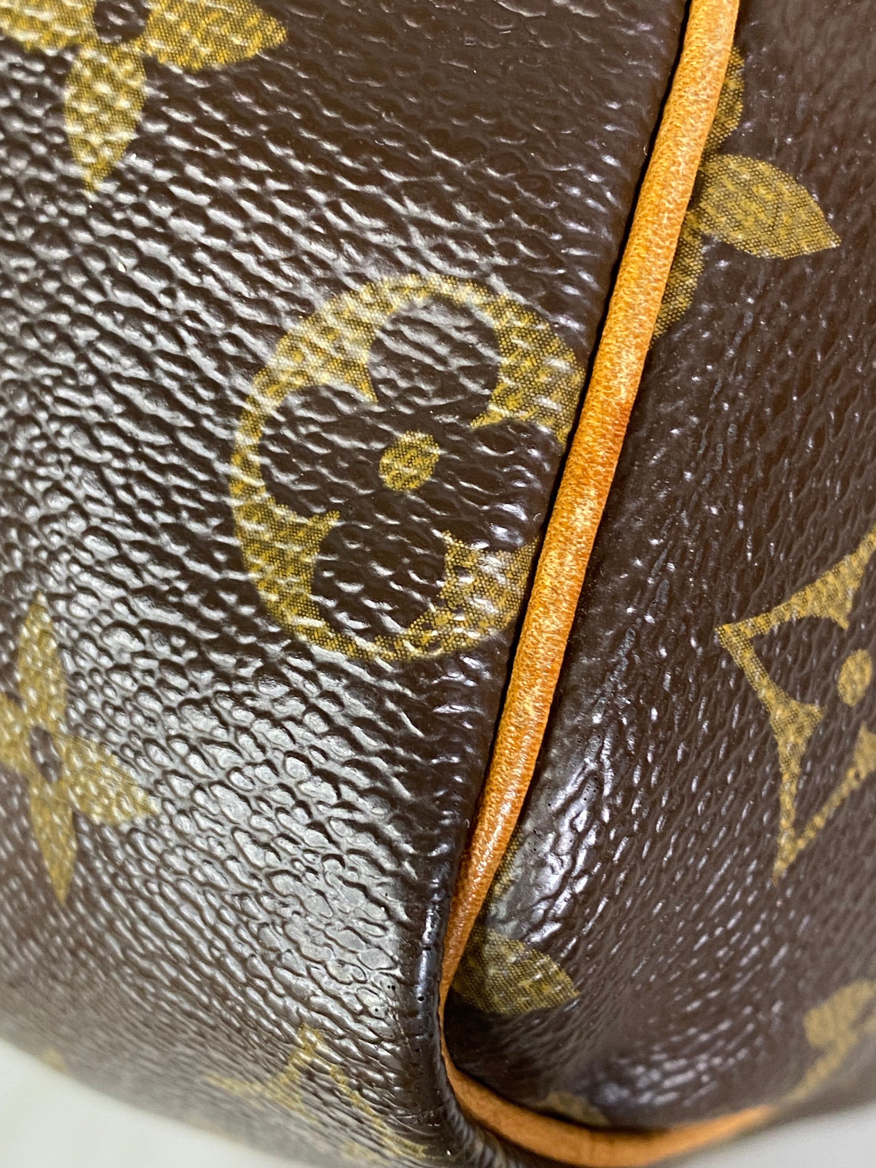 Louis Vuitton Monogram Speedy 25 Tote Bag-handbag-Louis Vuitton-The Closet Egypt