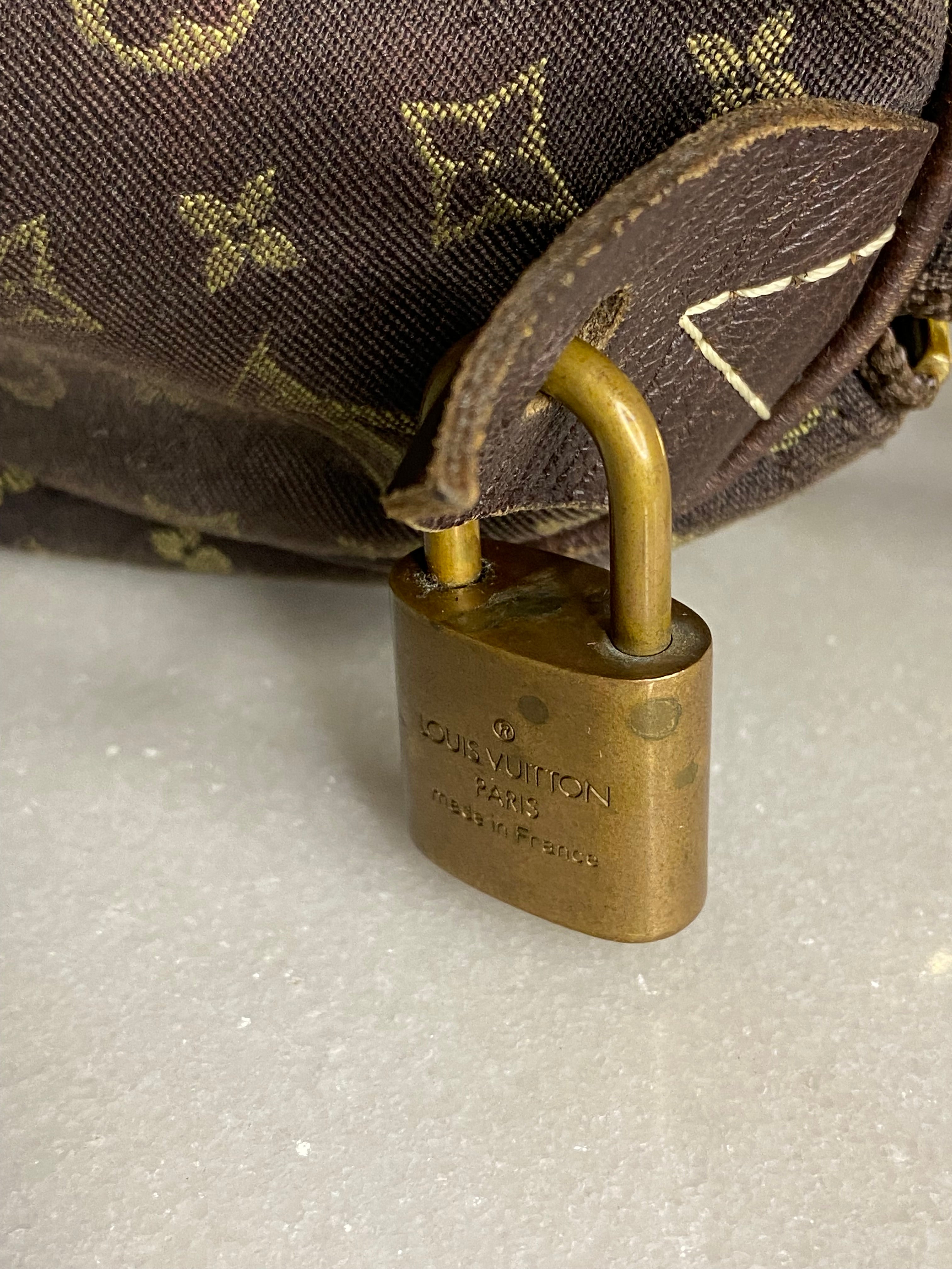 Louis Vuitton Monogram Idylle Speedy Bag-handbag-Louis Vuitton-The Closet Egypt