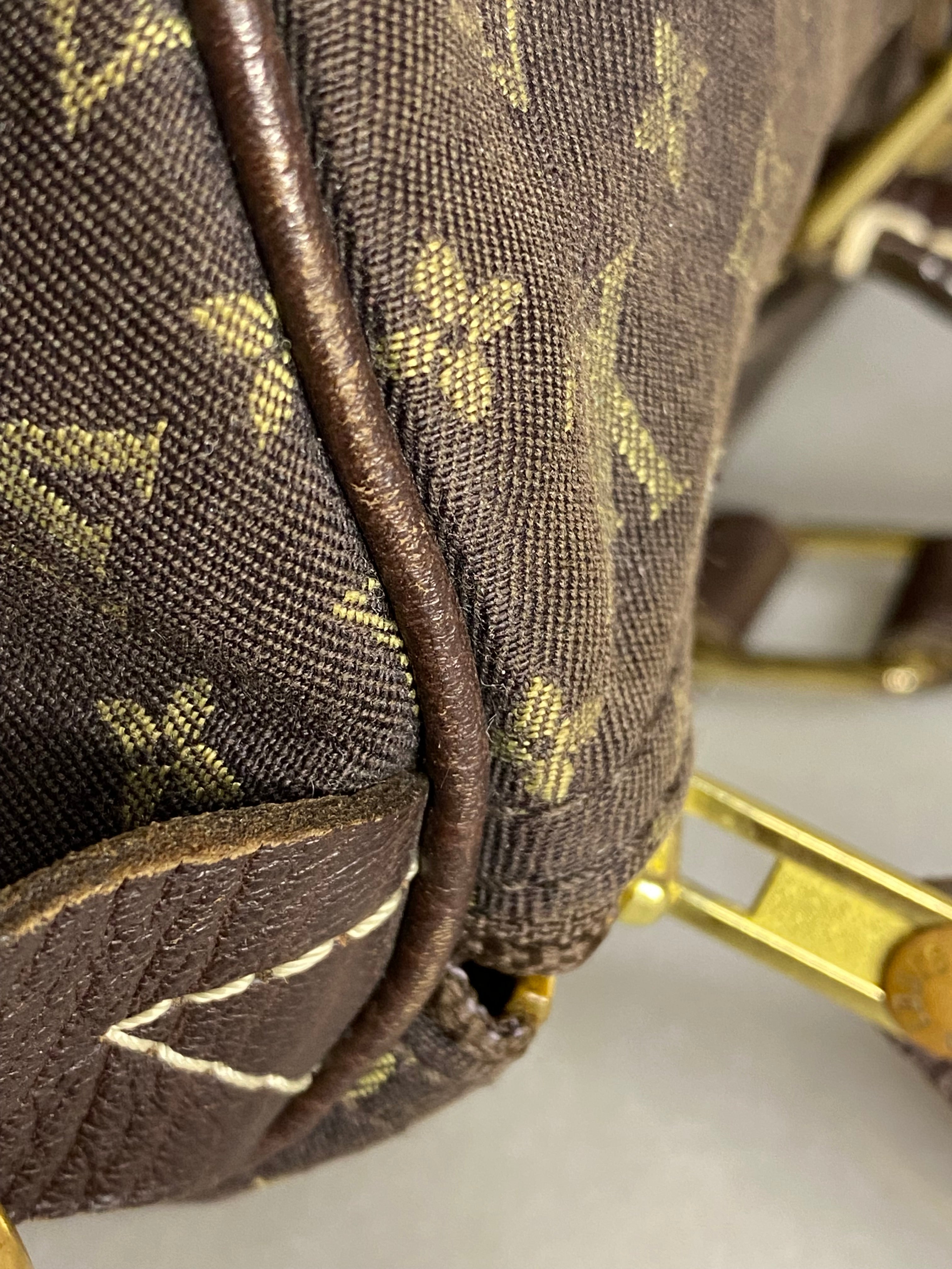 Louis Vuitton Monogram Idylle Speedy Bag-handbag-Louis Vuitton-The Closet Egypt