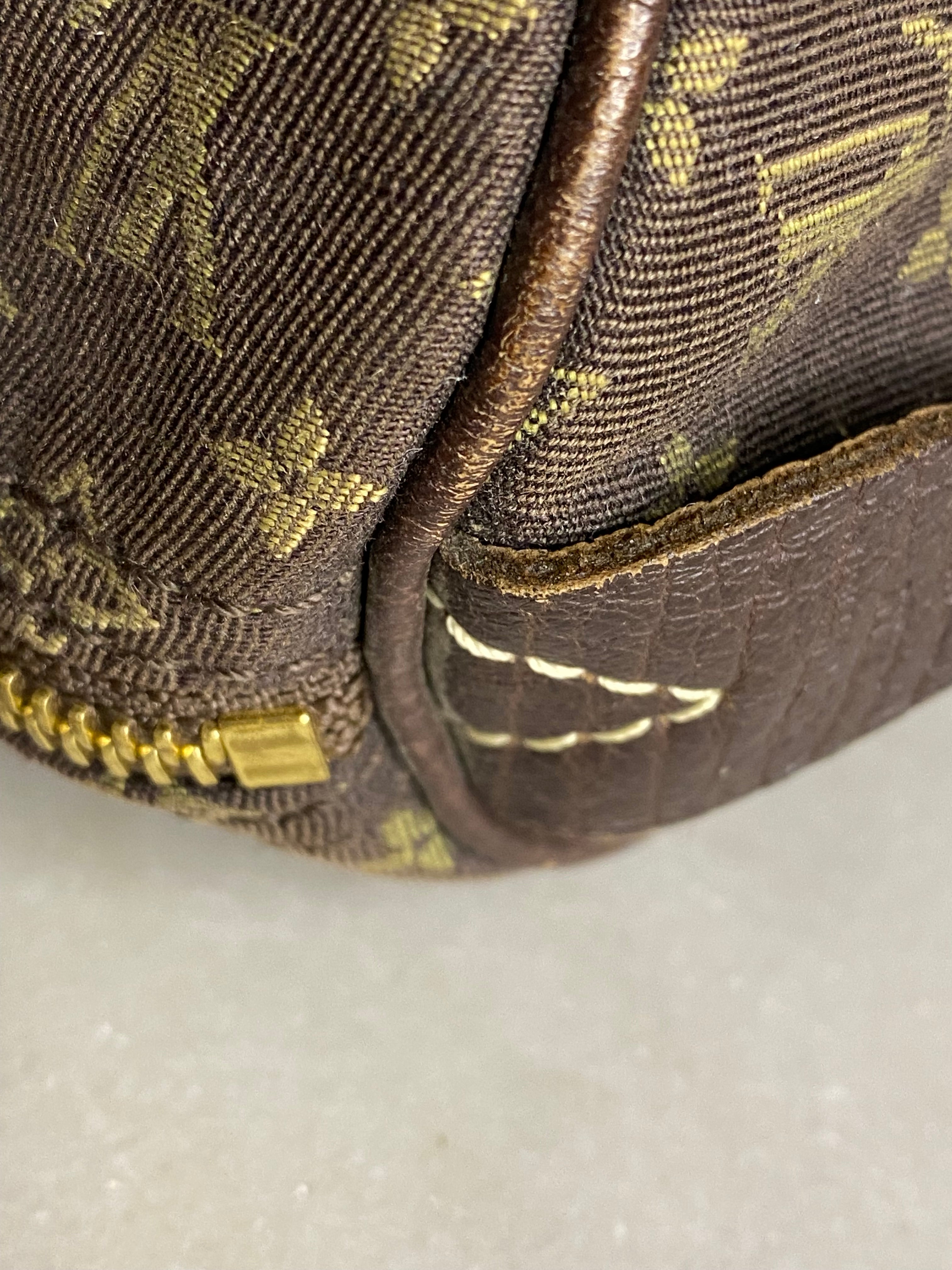 Louis Vuitton Monogram Idylle Speedy Bag-handbag-Louis Vuitton-The Closet Egypt