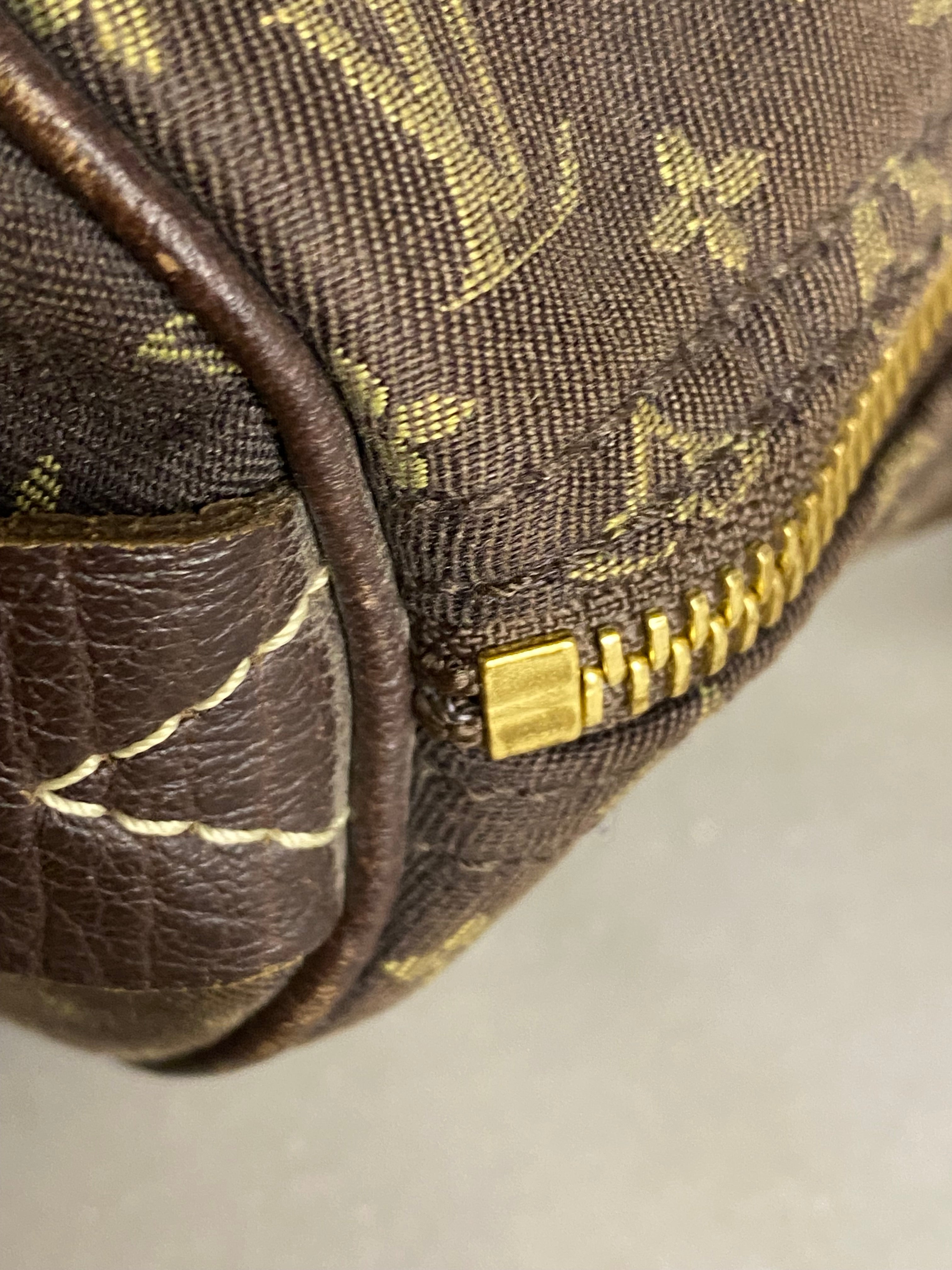 Louis Vuitton Monogram Idylle Speedy Bag-handbag-Louis Vuitton-The Closet Egypt