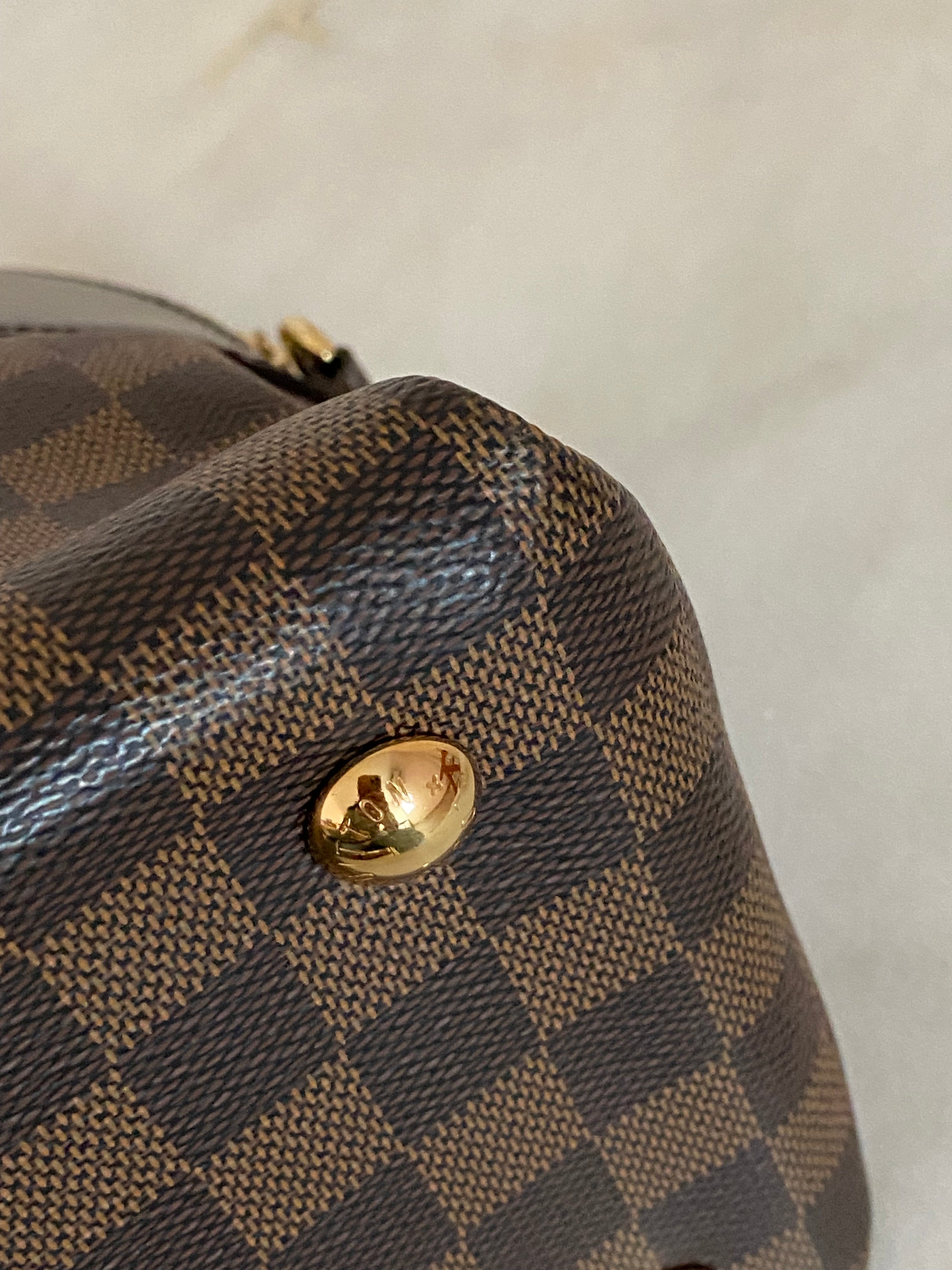 Louis Vuitton Damier Ebene Salvi Tote Bag W/ Strap-handbag-Louis Vuitton-The Closet Egypt