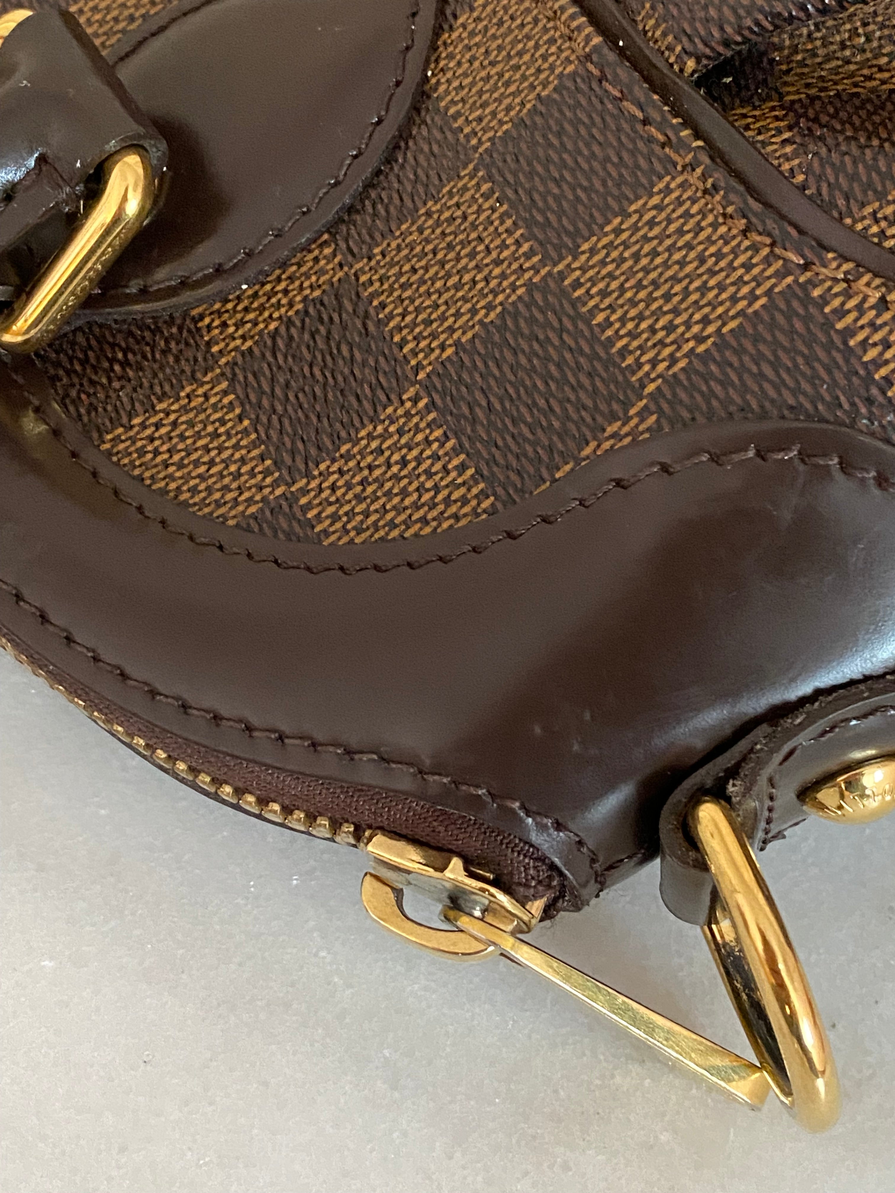 Louis Vuitton Damier Ebene Trevi PM Bag