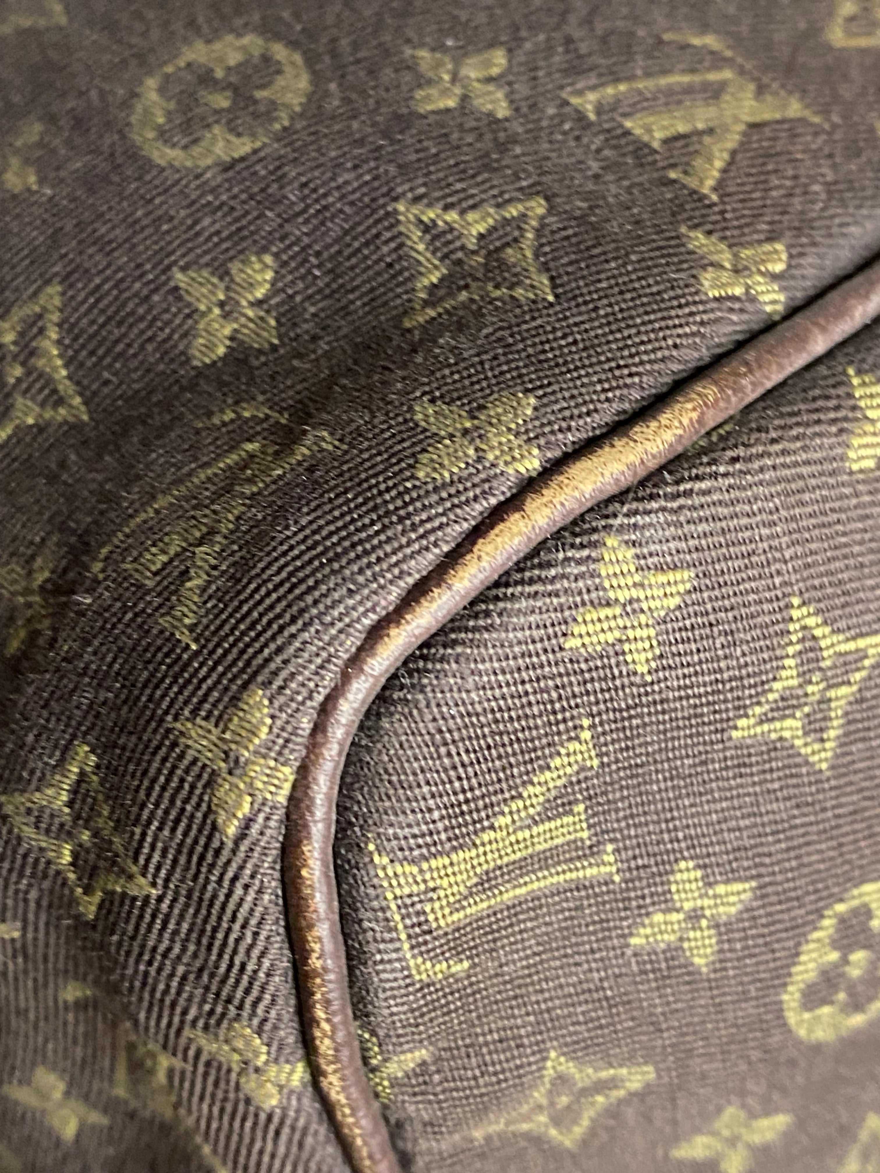Louis Vuitton Monogram Idylle Speedy Bag-handbag-Louis Vuitton-The Closet Egypt