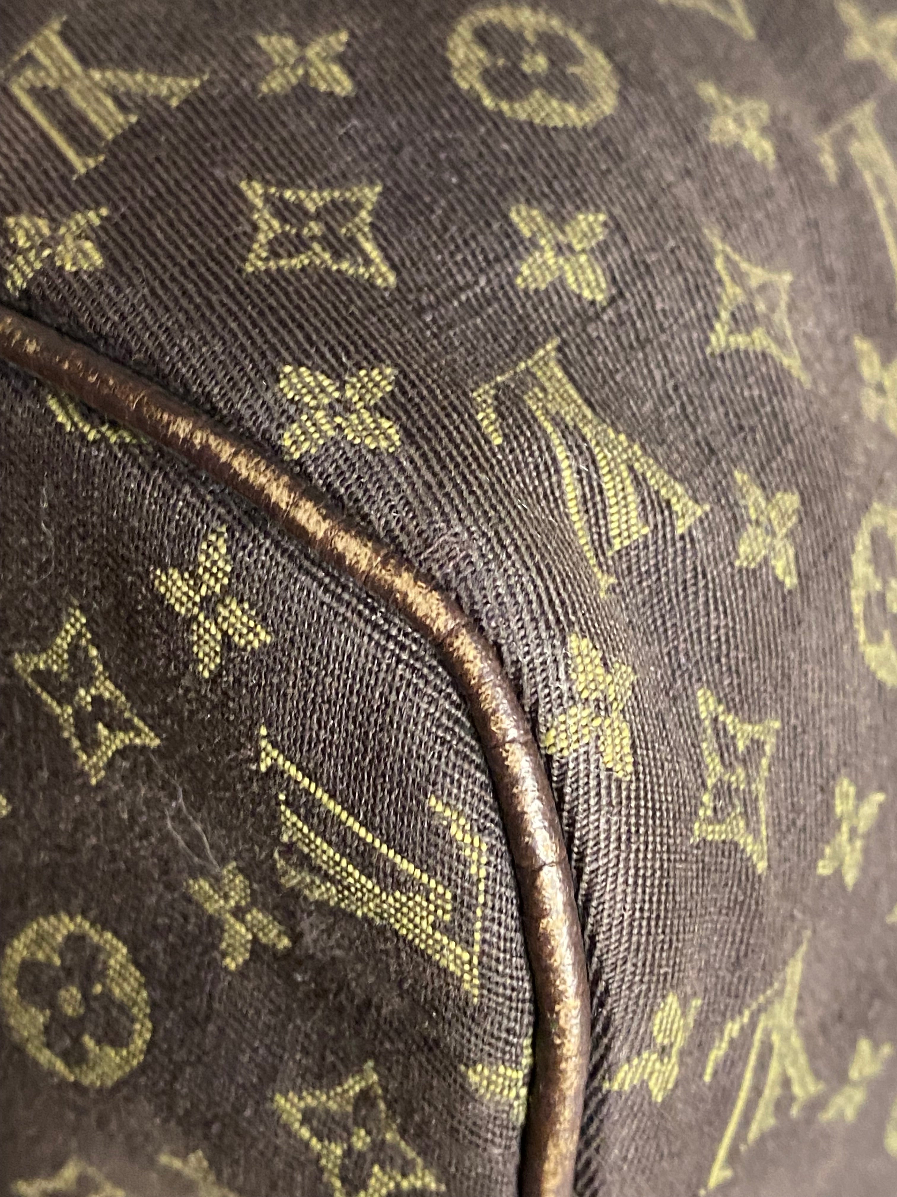 Louis Vuitton Monogram Idylle Speedy Bag-handbag-Louis Vuitton-The Closet Egypt