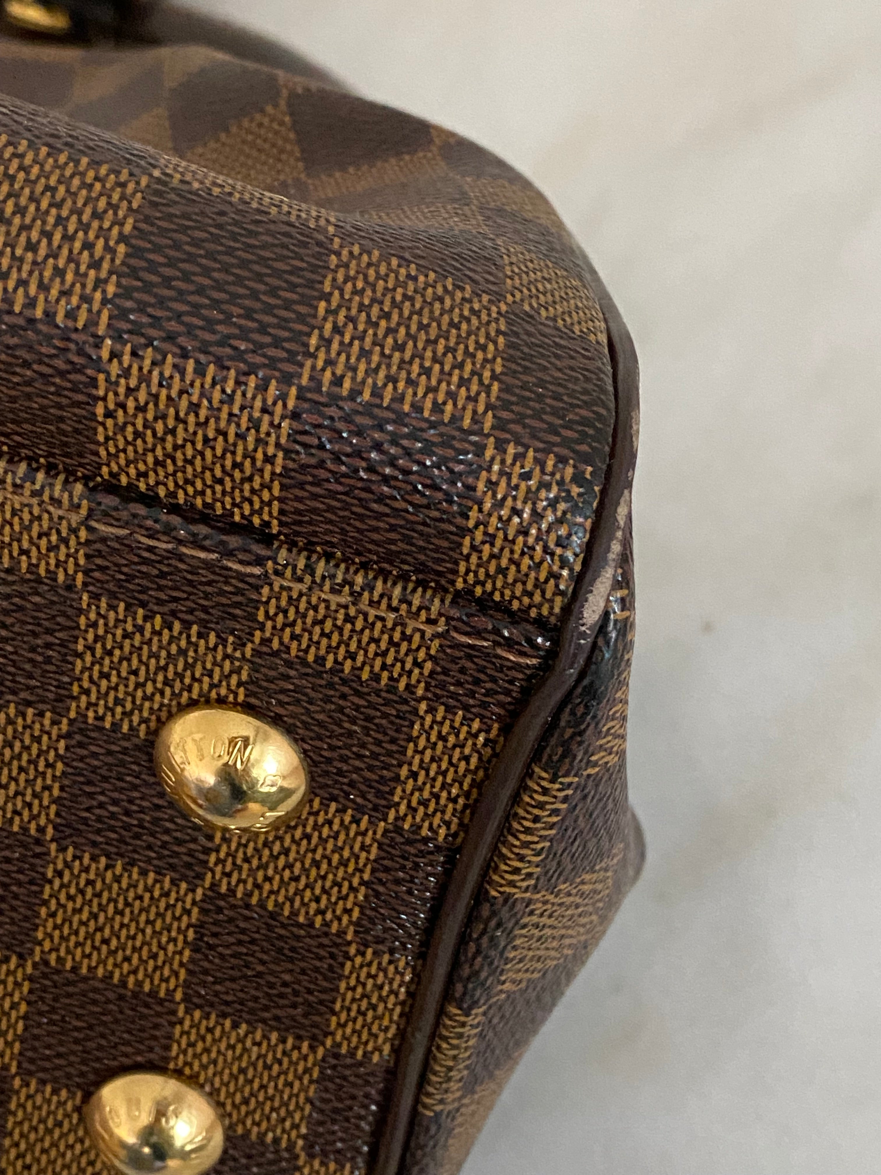 Louis Vuitton Damier Ebene Trevi PM Bag