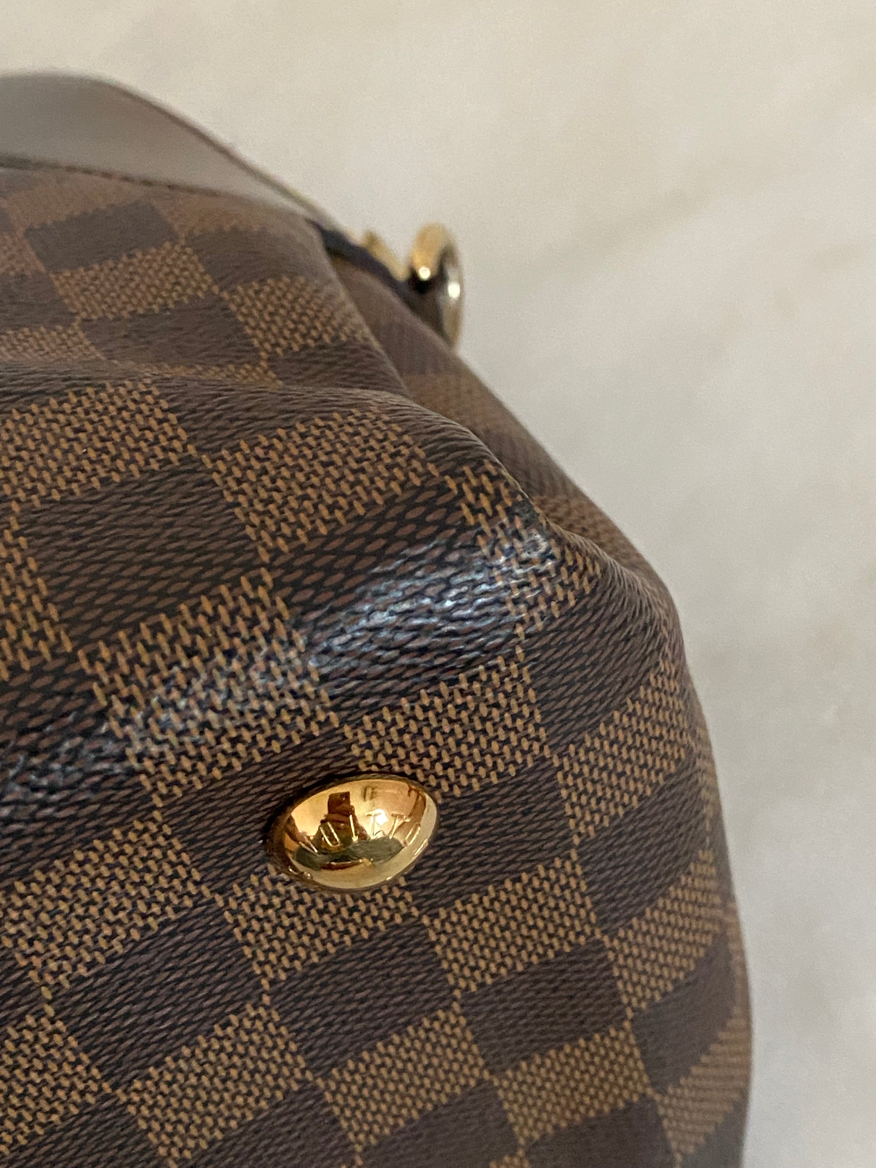 Louis Vuitton Damier Ebene Salvi Tote Bag W/ Strap-handbag-Louis Vuitton-The Closet Egypt