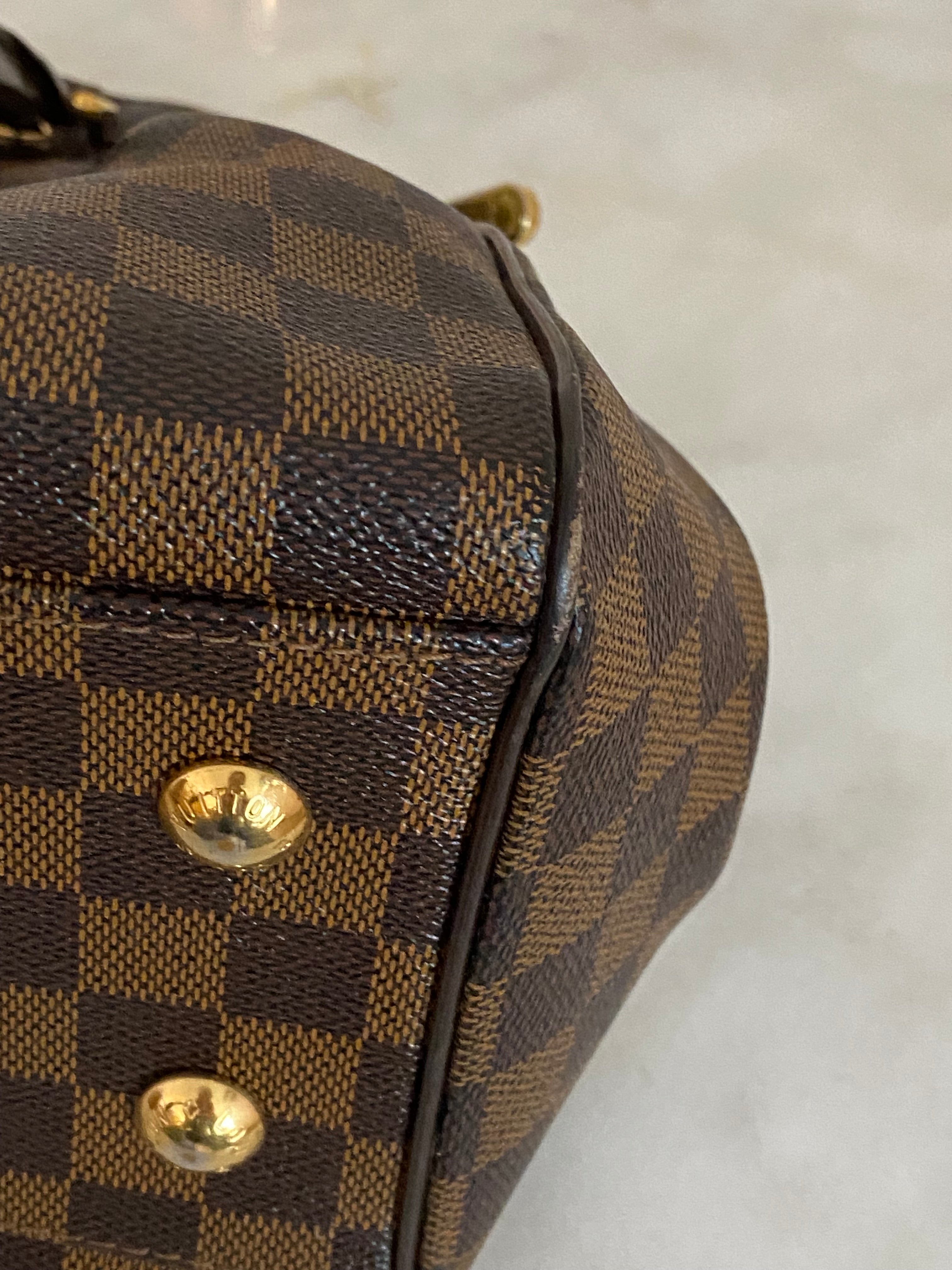 Louis Vuitton Damier Ebene Trevi PM Bag