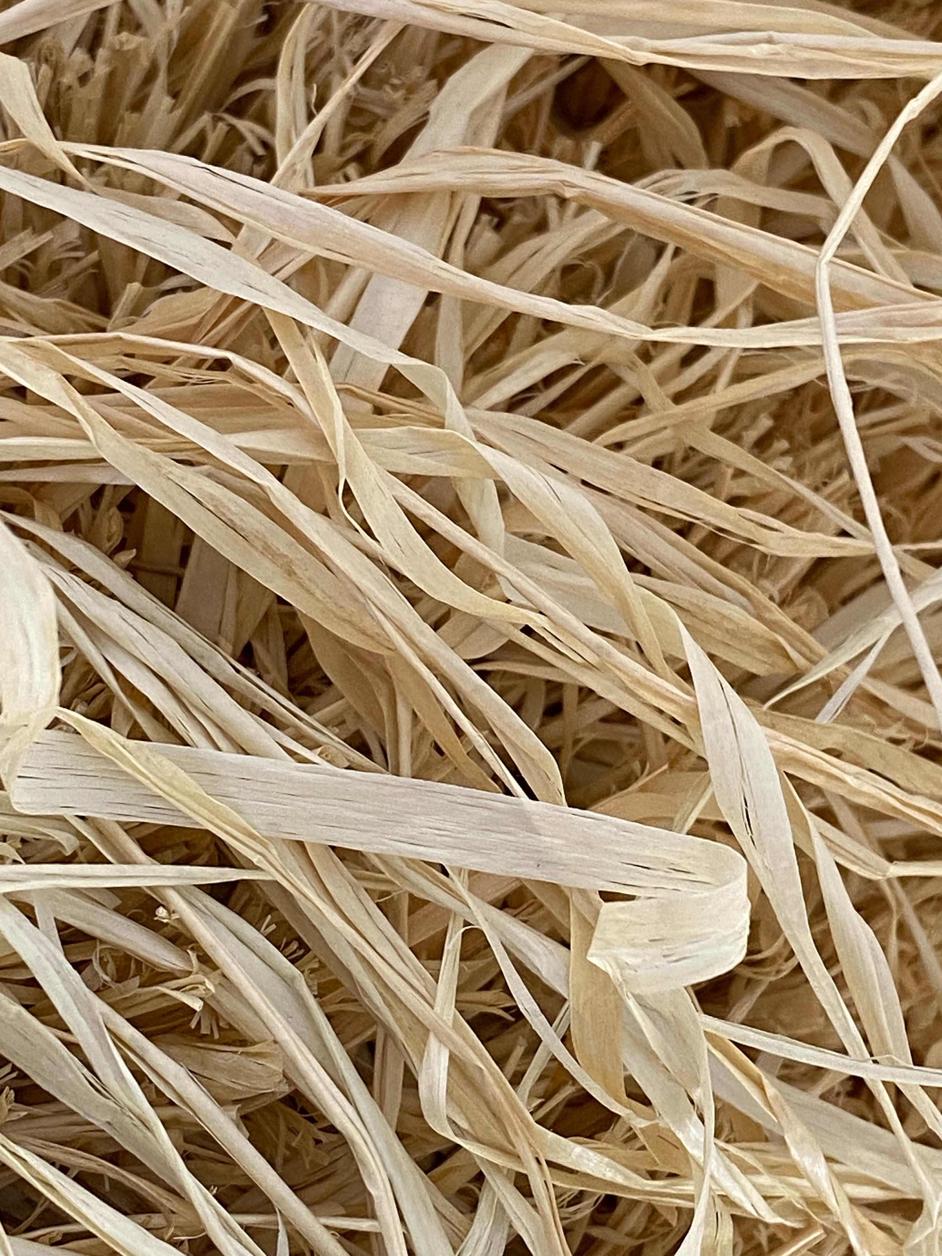 Jacquemus Light Blue Le Panier Soli Raffia Shopping Bag-handbag-Jacquemus-The Closet Egypt