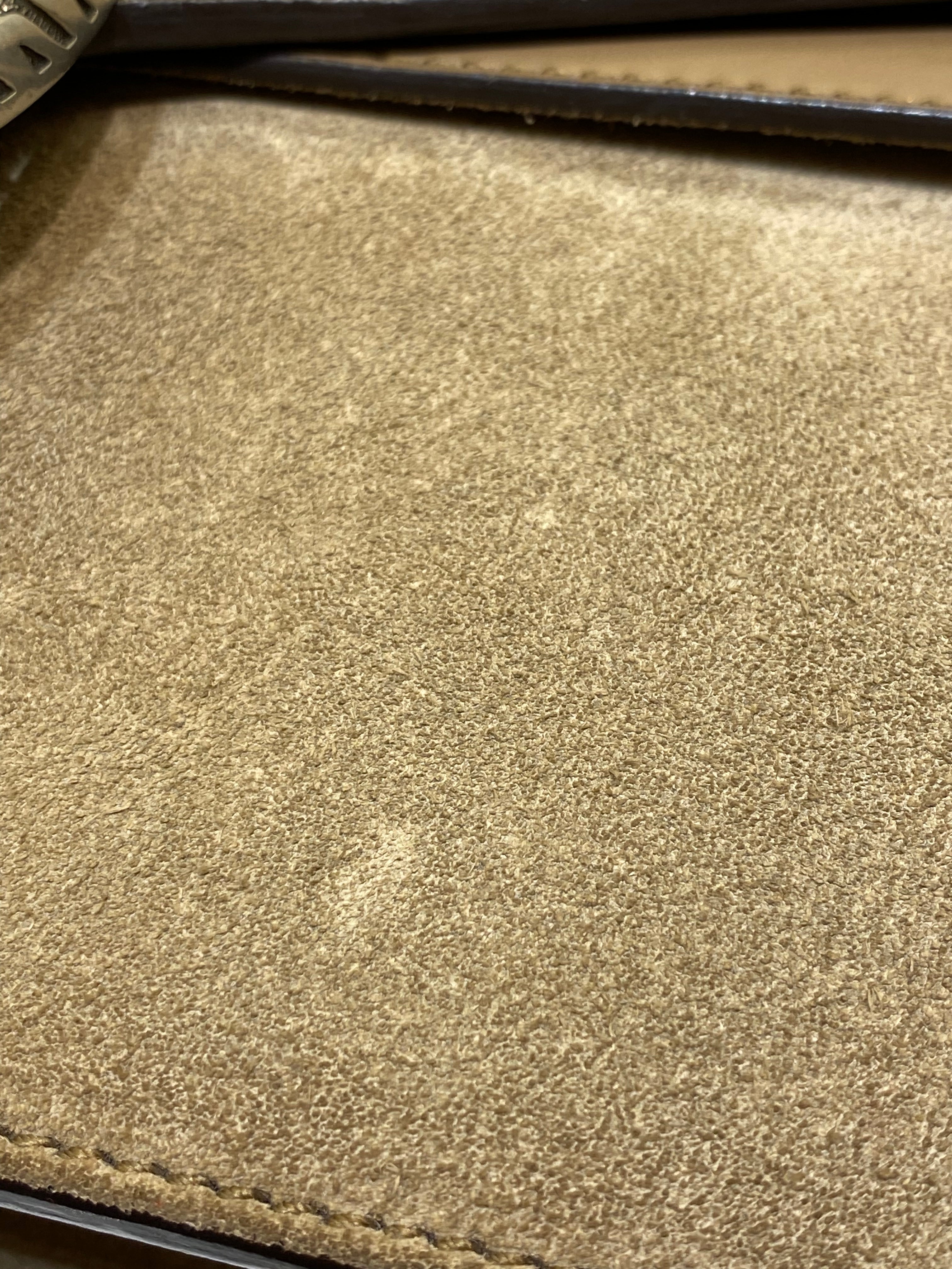 Gucci Beige Velvet Dionysus Bag-handbag-Gucci-The Closet Egypt