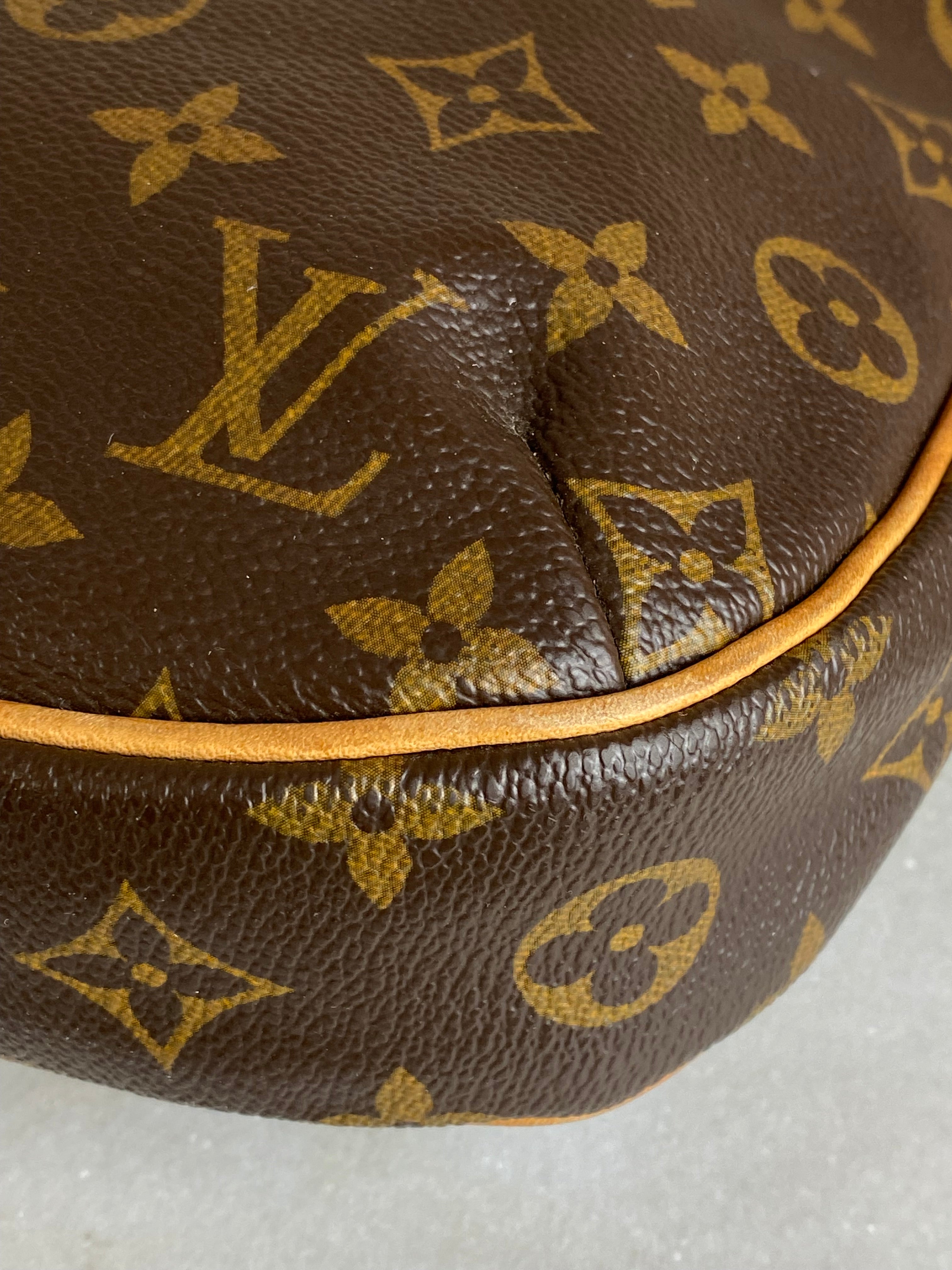 Louis Vuitton Monogram Odeon Crossbody PM Bag-handbag-Louis Vuitton-The Closet Egypt