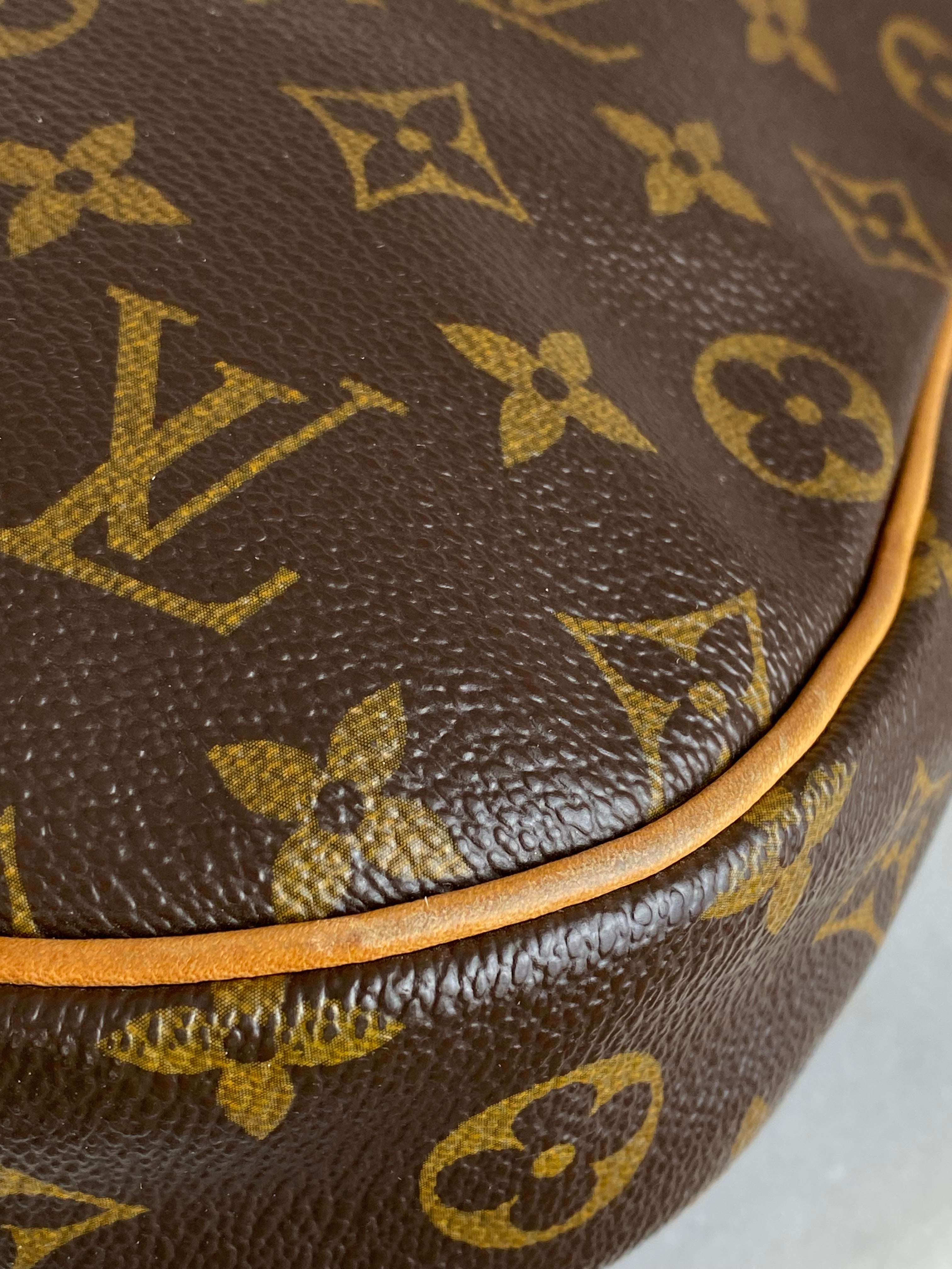 Louis Vuitton Monogram Odeon Crossbody PM Bag-handbag-Louis Vuitton-The Closet Egypt
