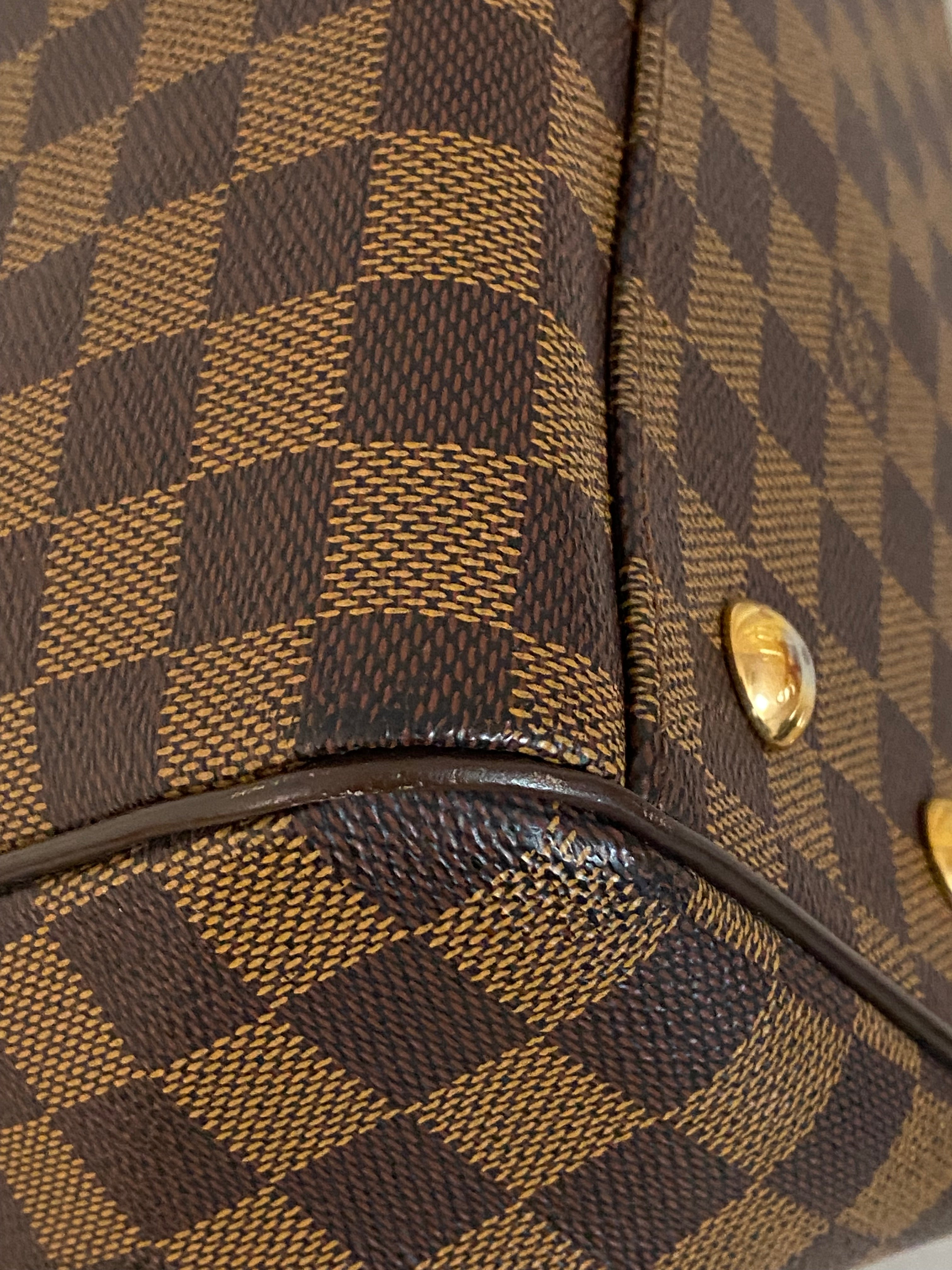 Louis Vuitton Damier Ebene Trevi PM Bag-handbag-Louis Vuitton-The Closet Egypt