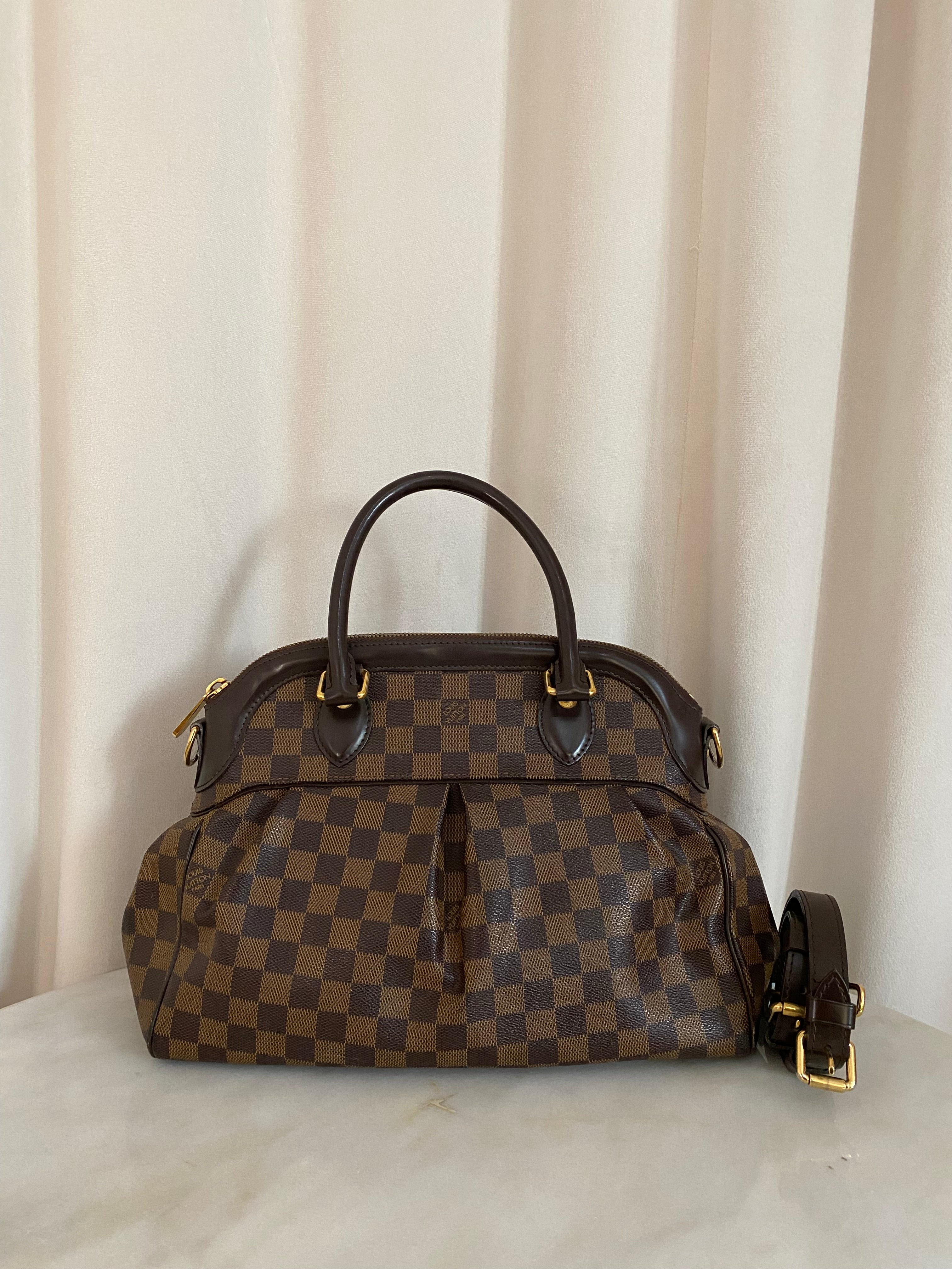 Louis Vuitton Damier Ebene Trevi PM Bag-handbag-Louis Vuitton-The Closet Egypt