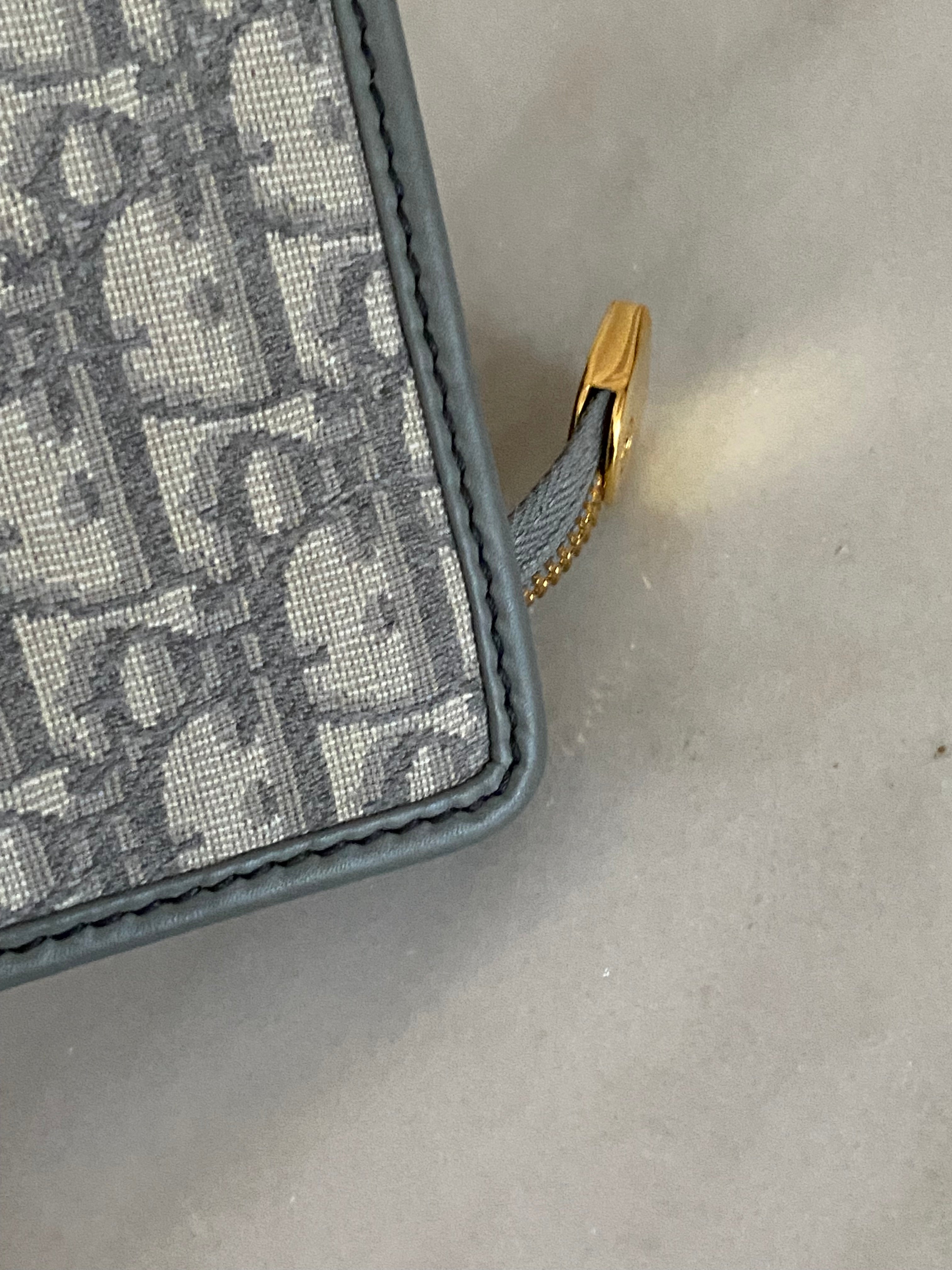 Christian Dior Gray Monogram Montaigne CD Pouch-Pouch-Christian Dior-The Closet Egypt