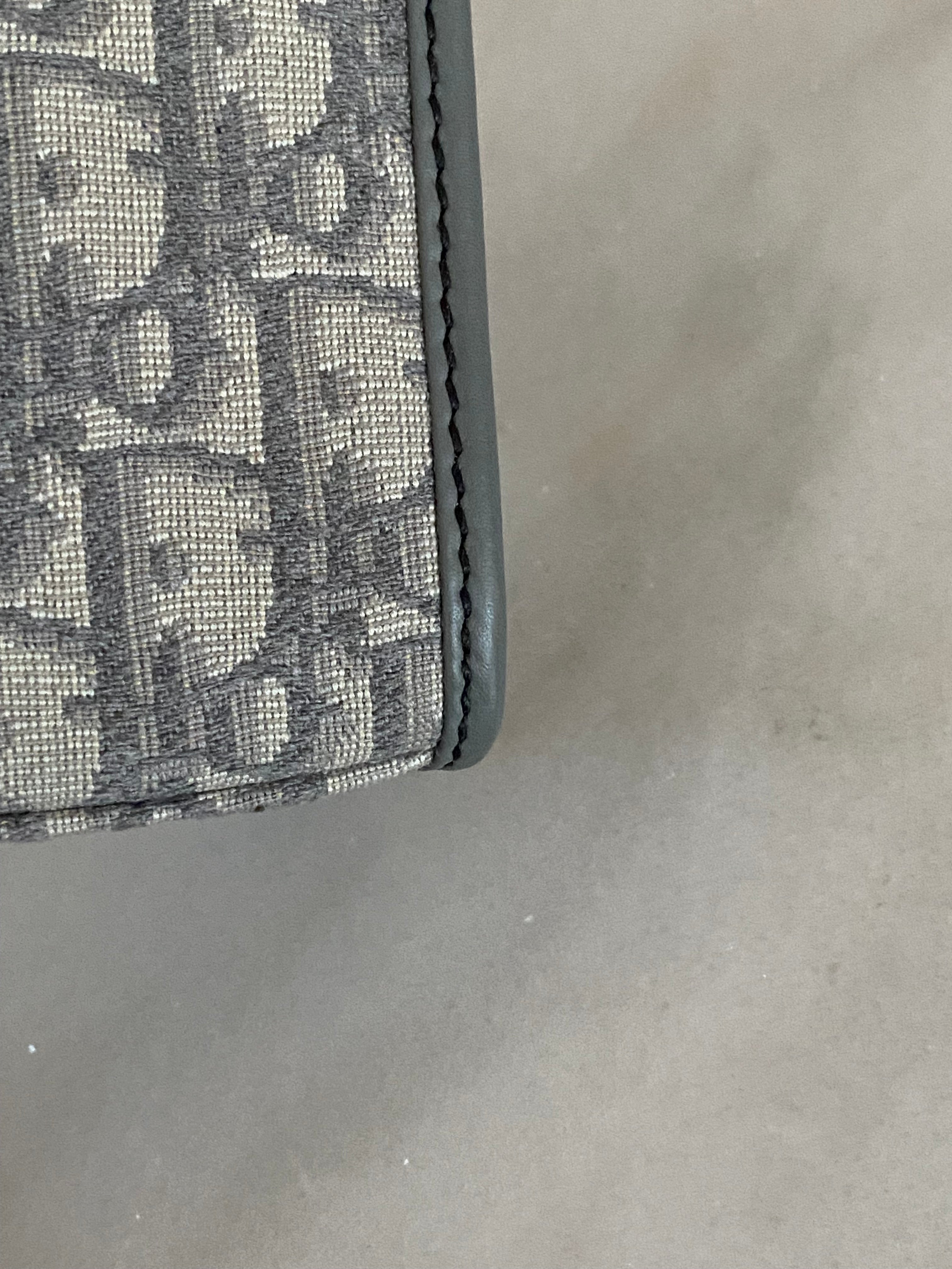 Christian Dior Gray Monogram Montaigne CD Pouch-Pouch-Christian Dior-The Closet Egypt