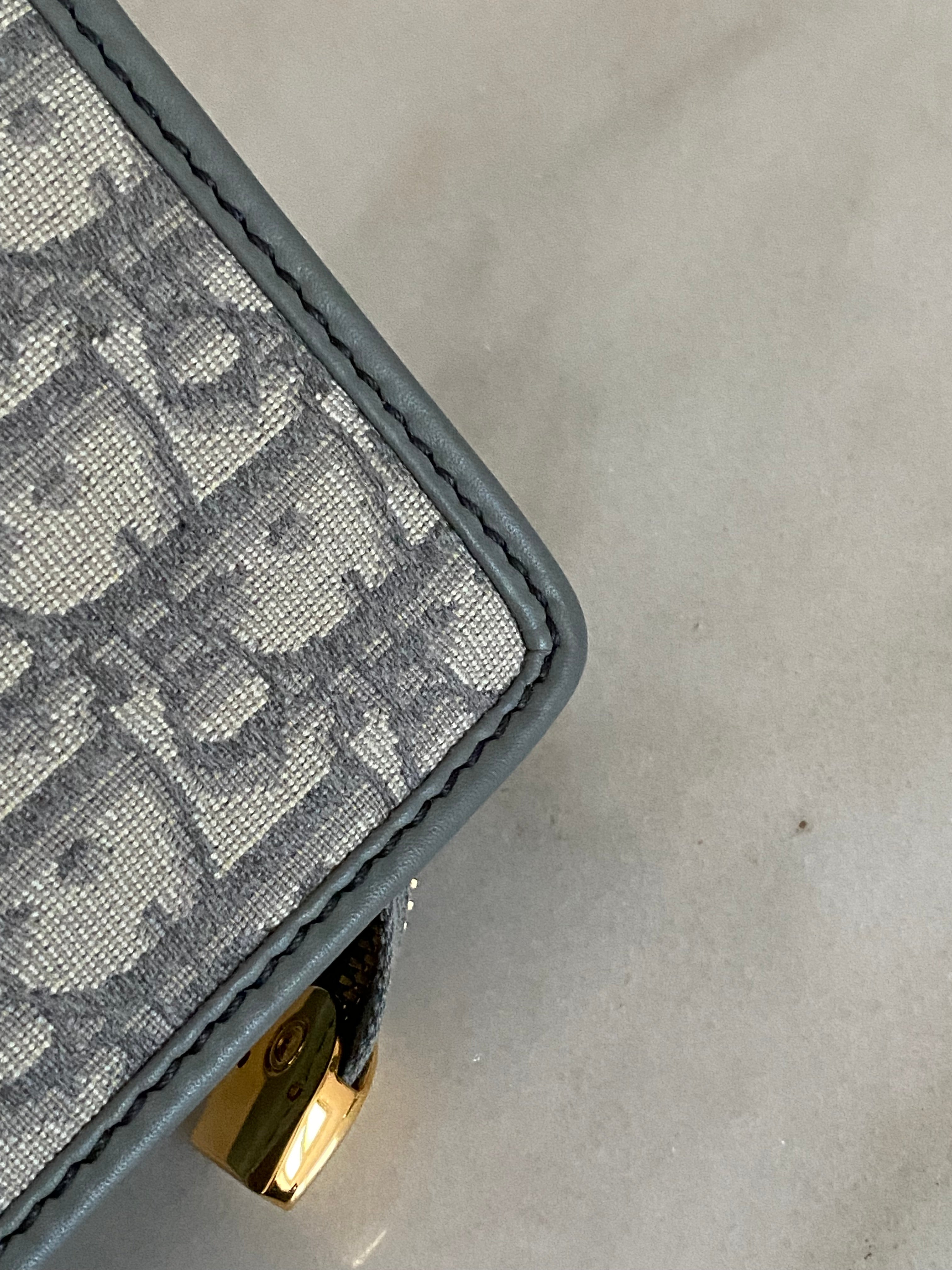 Christian Dior Gray Monogram Montaigne CD Pouch-Pouch-Christian Dior-The Closet Egypt