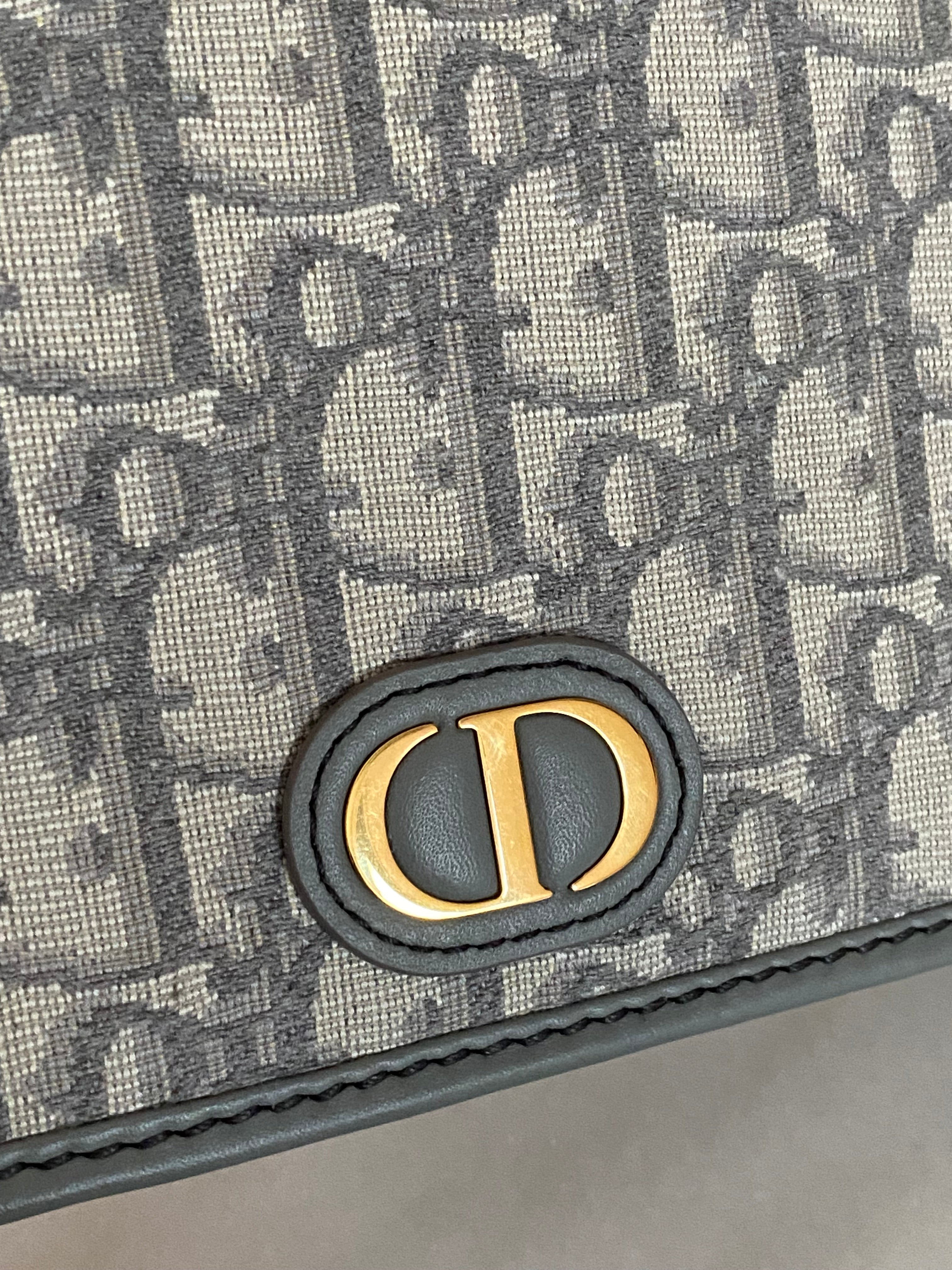 Christian Dior Gray Monogram Montaigne CD Pouch-Pouch-Christian Dior-The Closet Egypt