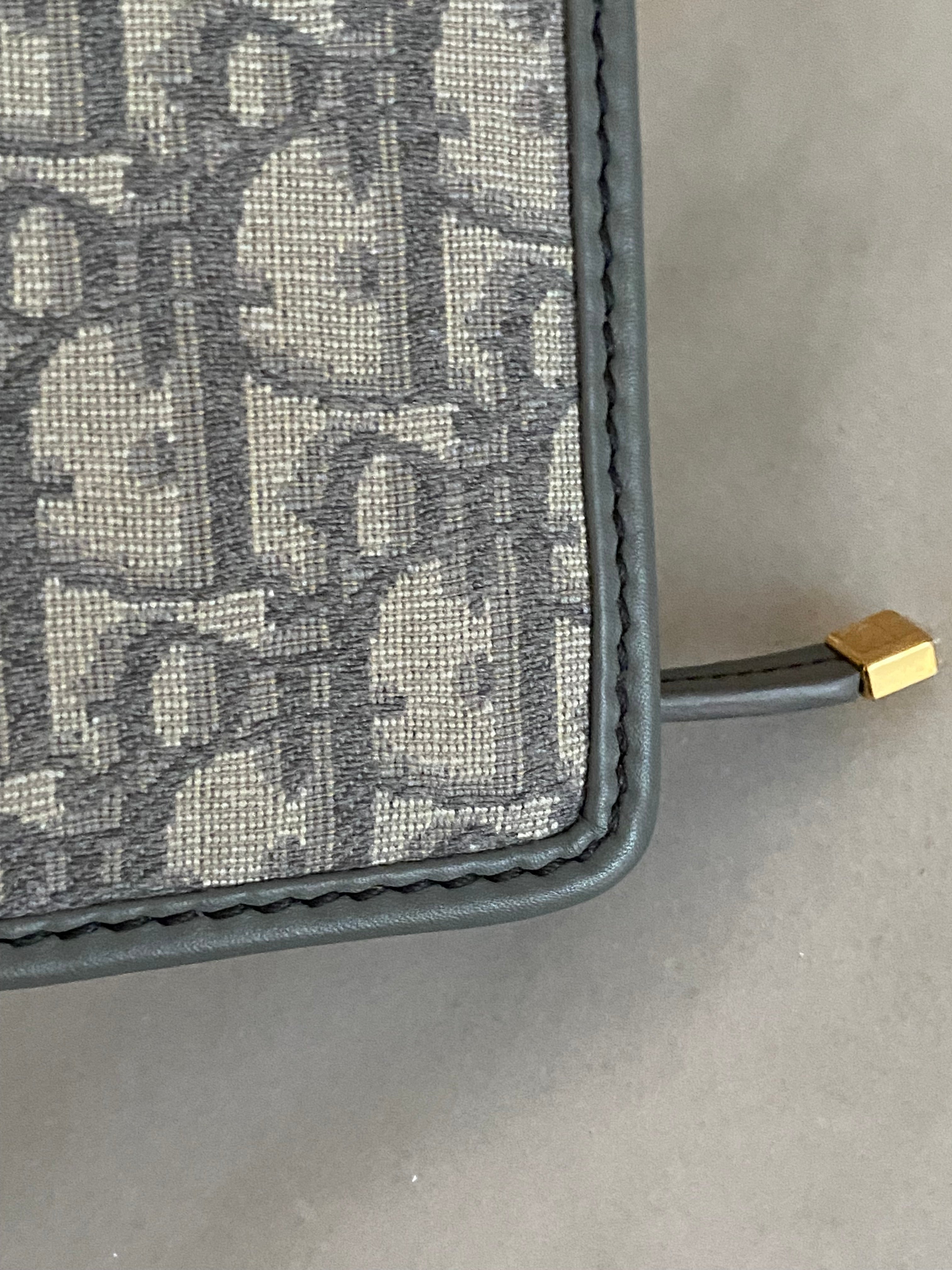 Christian Dior Gray Monogram Montaigne CD Pouch-Pouch-Christian Dior-The Closet Egypt