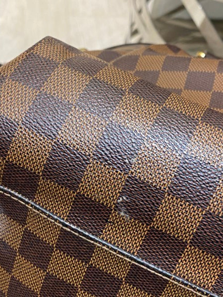 Louis Vuitton Damier Trevi GM Bag
