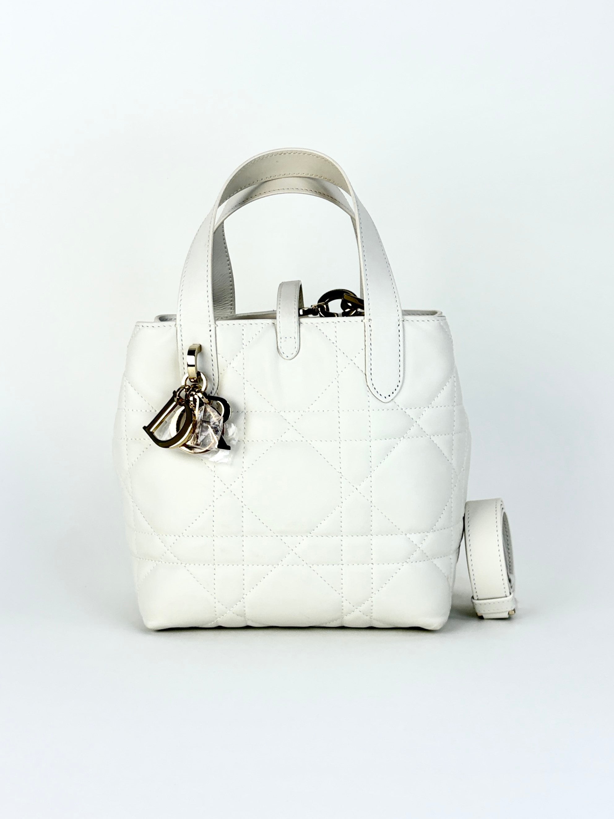 Christian Dior latte macro carnage bonjours vertical bag