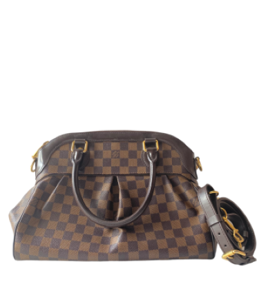 Louis Vuitton Damier Ebene Trevi PM Bag