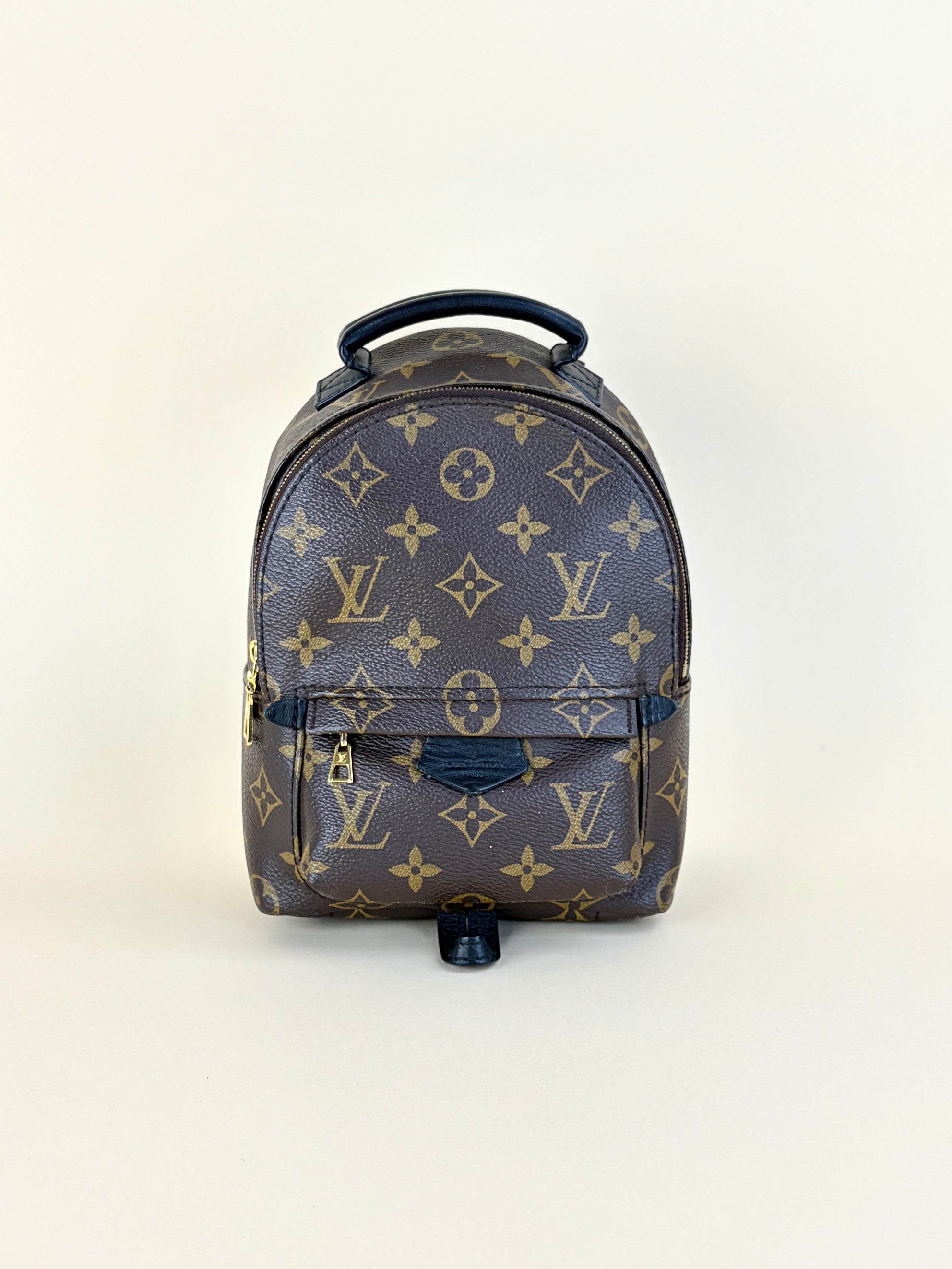 Louis Vuitton Monogram Palm Spring PM Backpack Bag