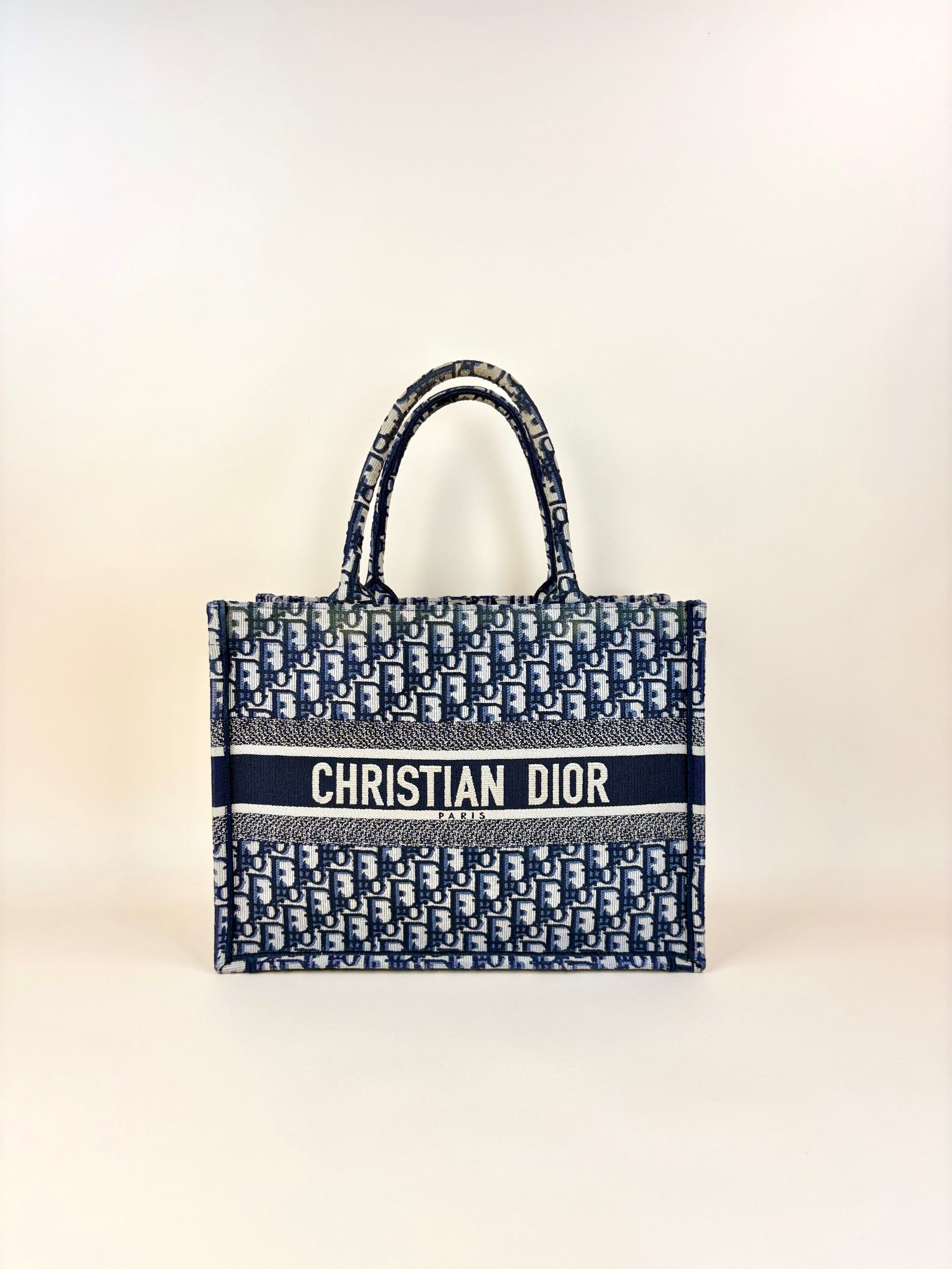Christian Dior Blue Oblique Medium Book Tote Bag