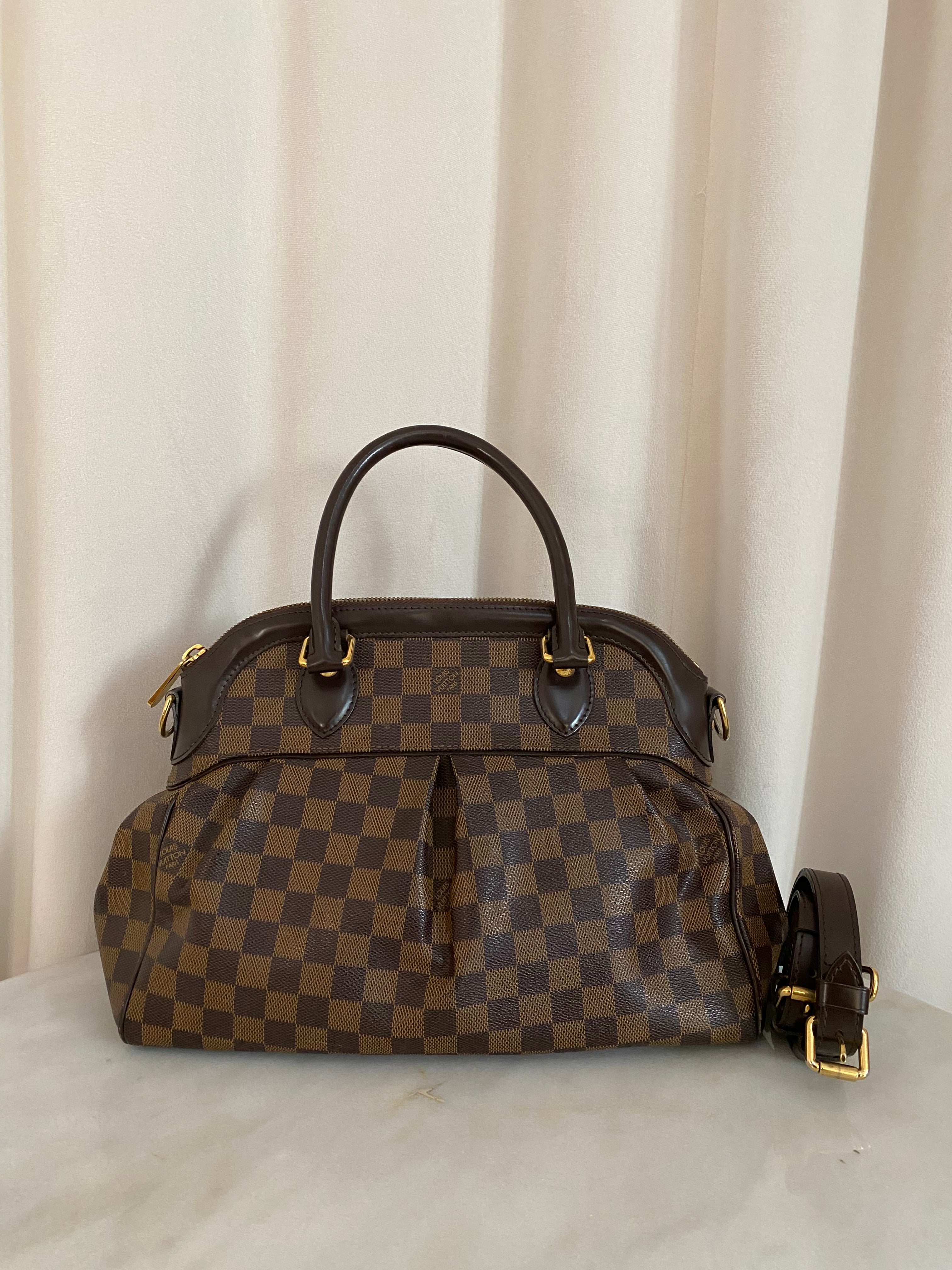 Louis Vuitton Damier Ebene Trevi PM Bag