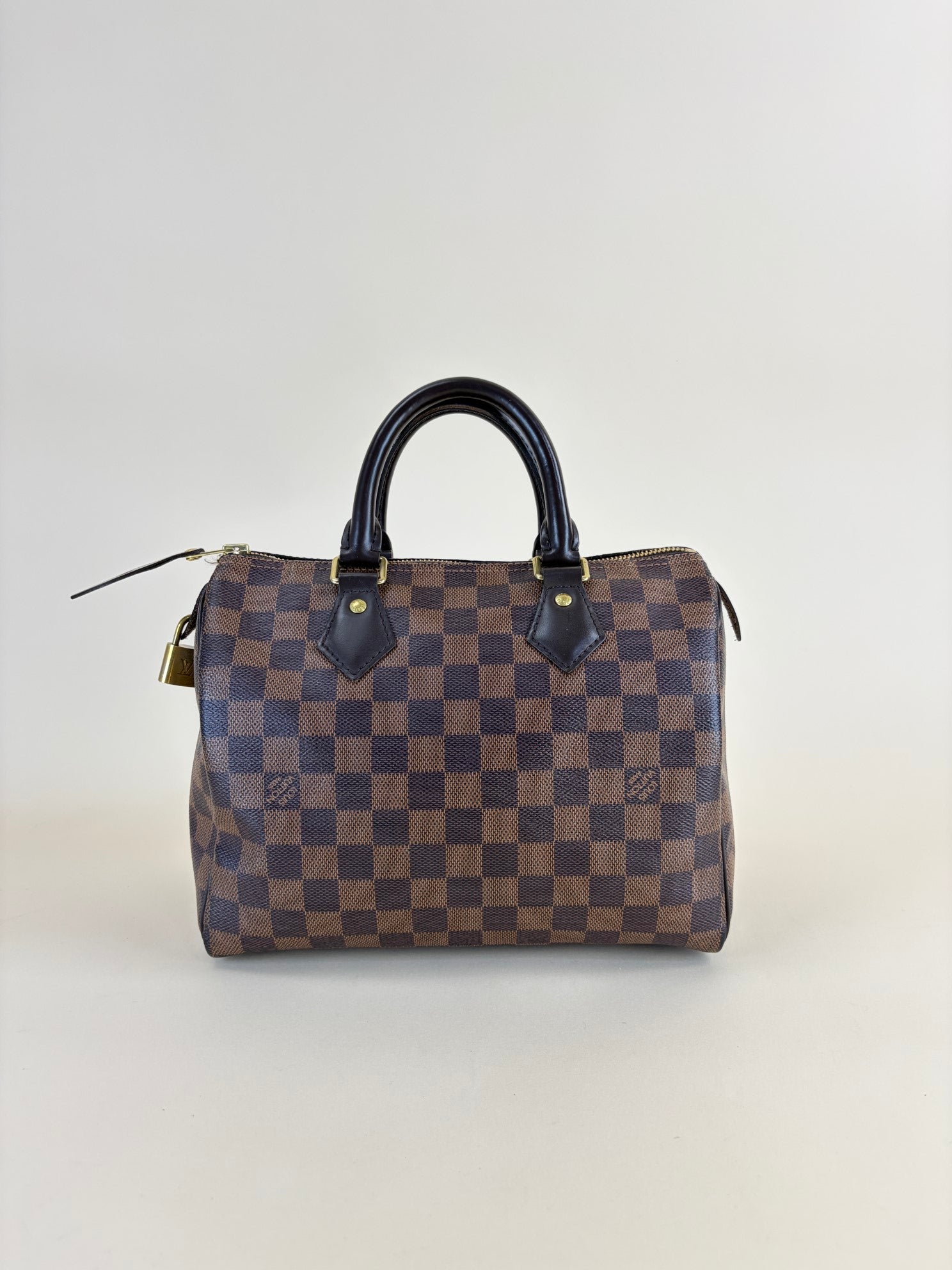 Louis Vuitton Damier Ebene Speedy 25 Bag